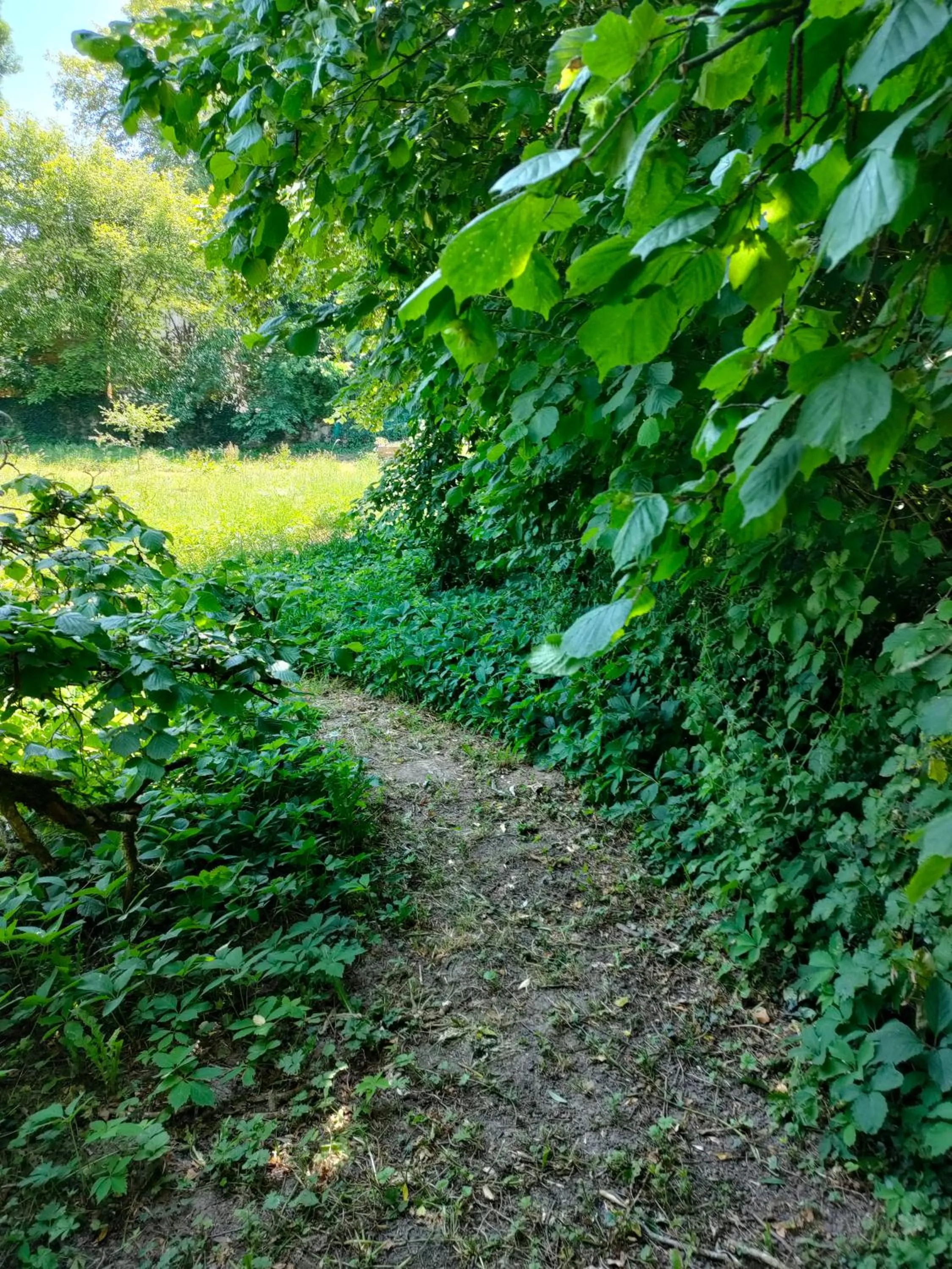 Natural landscape in Chambres d'hôtes La Tuilerie