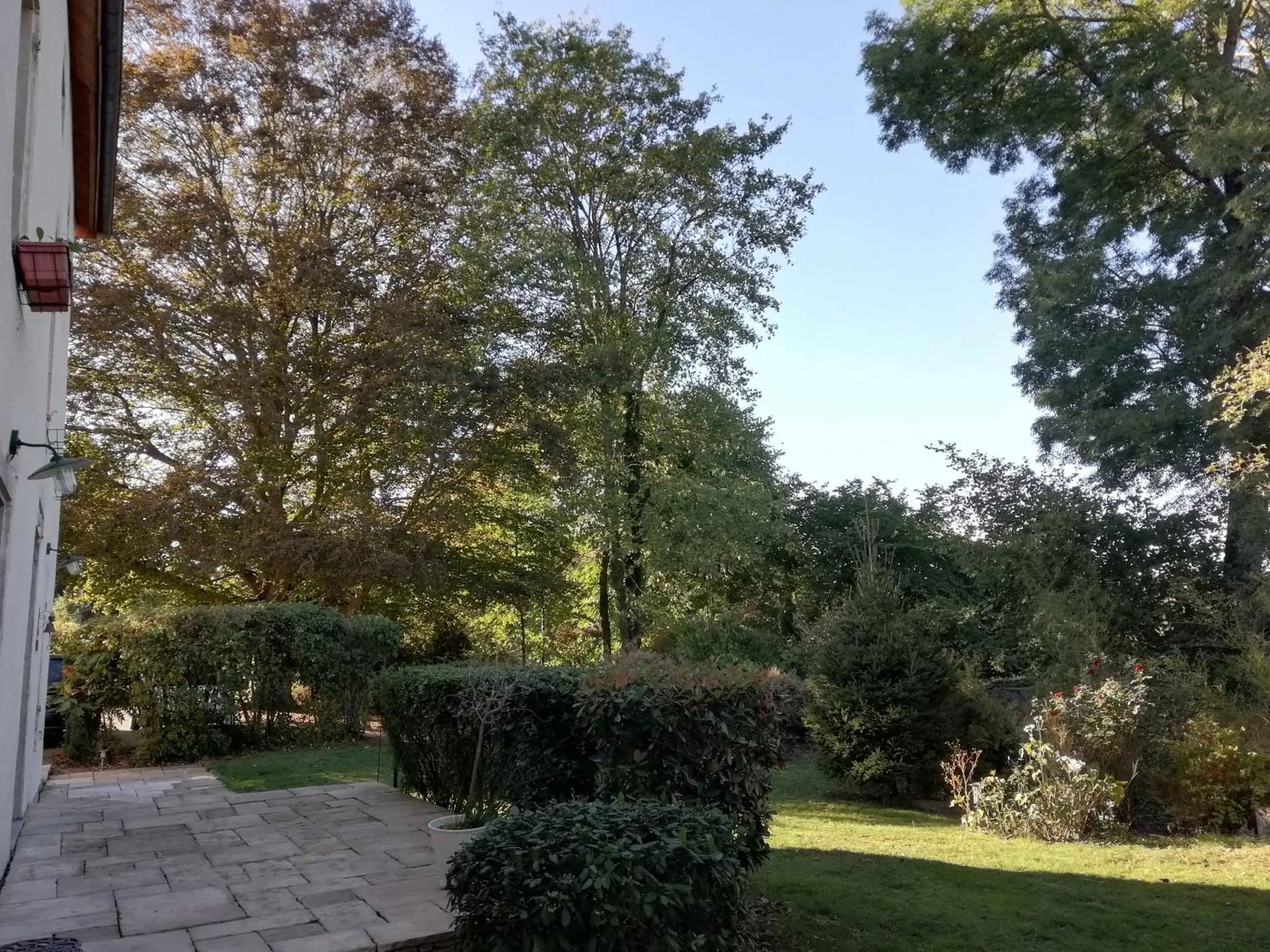 Garden in Chambres d'hôtes La Tuilerie