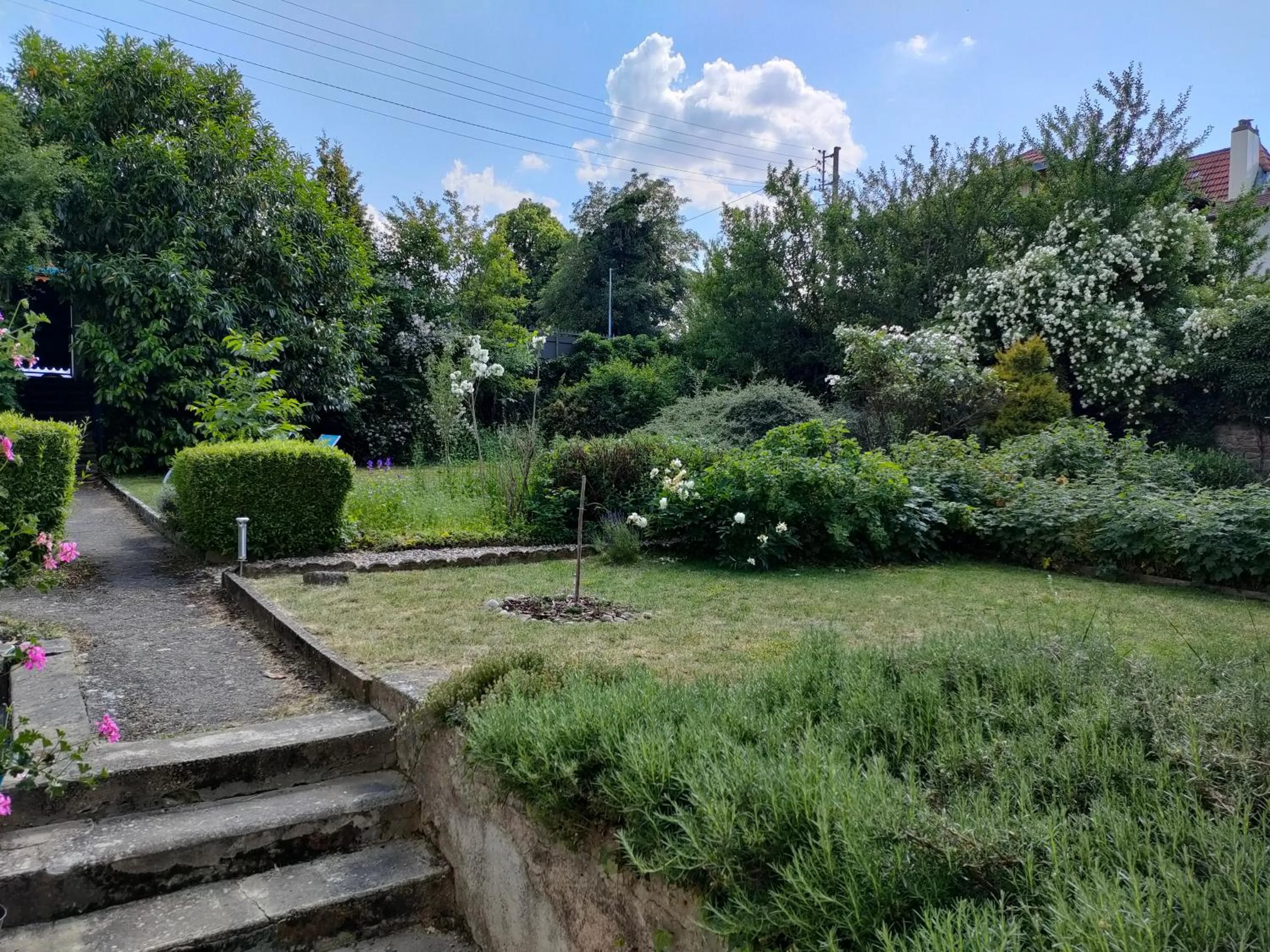 Garden in Chambres d'hôtes La Tuilerie