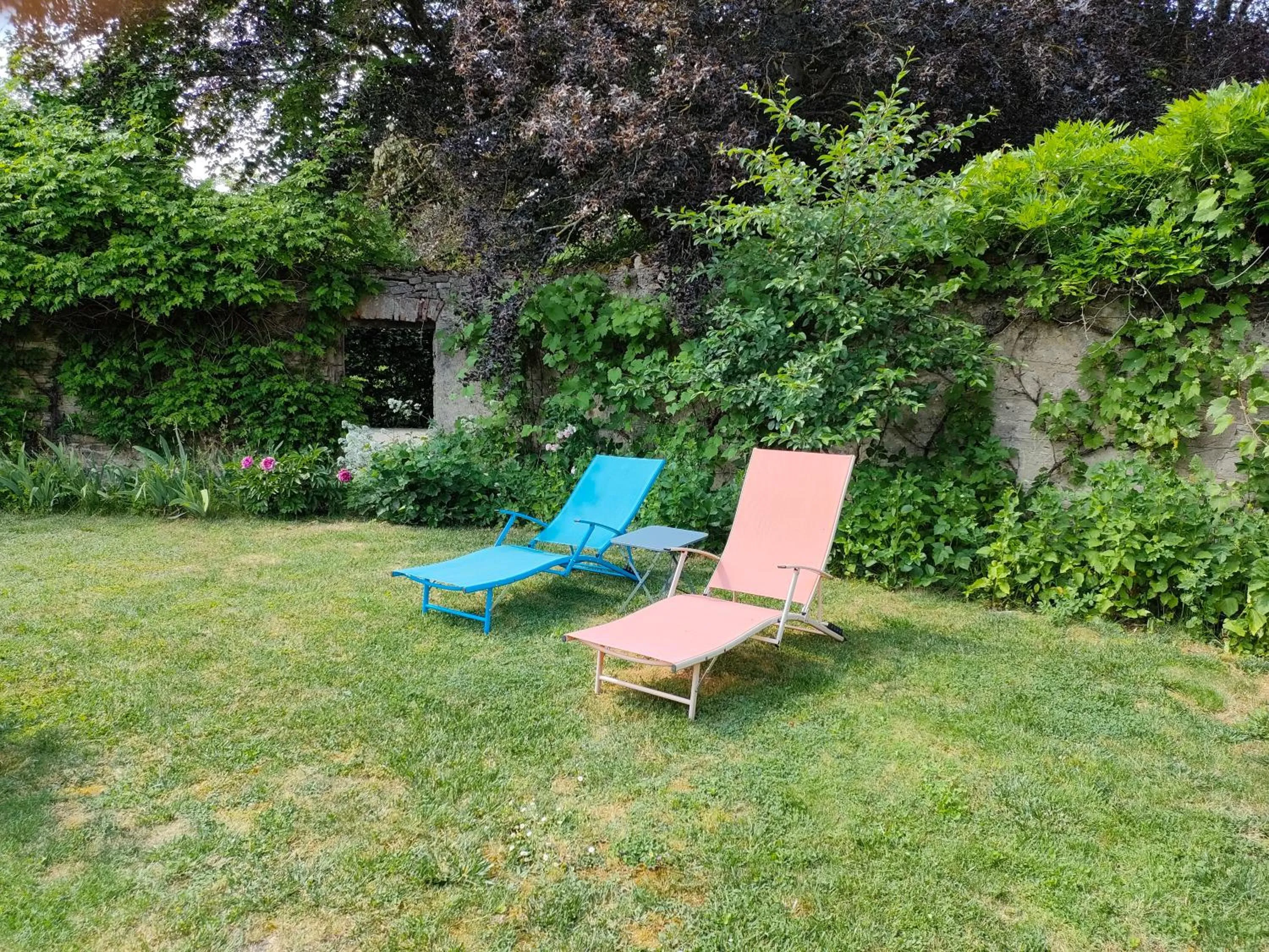 Garden in Chambres d'hôtes La Tuilerie