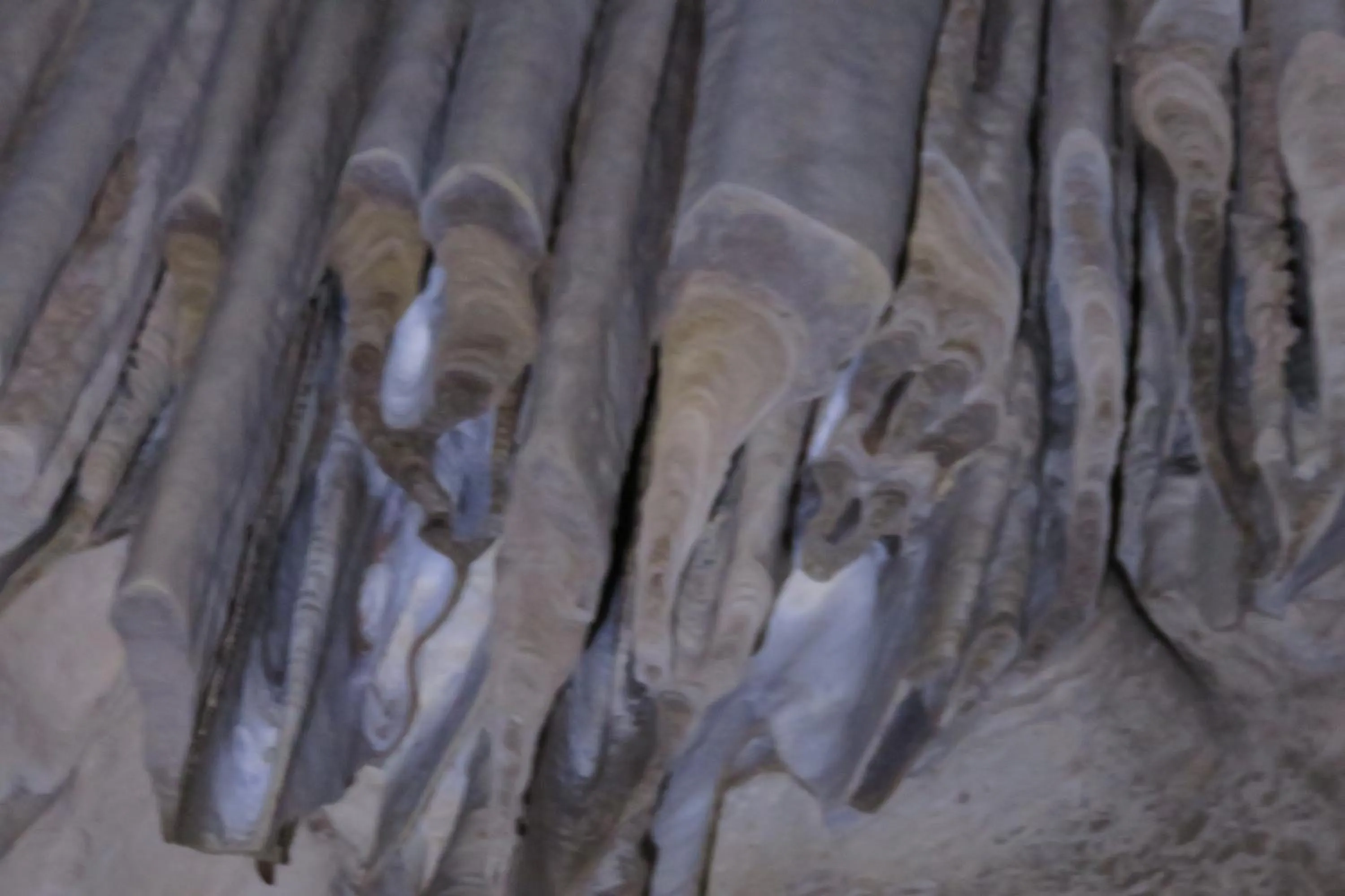 Hiking in Hotel Antequera Rural Fortes La Nuit