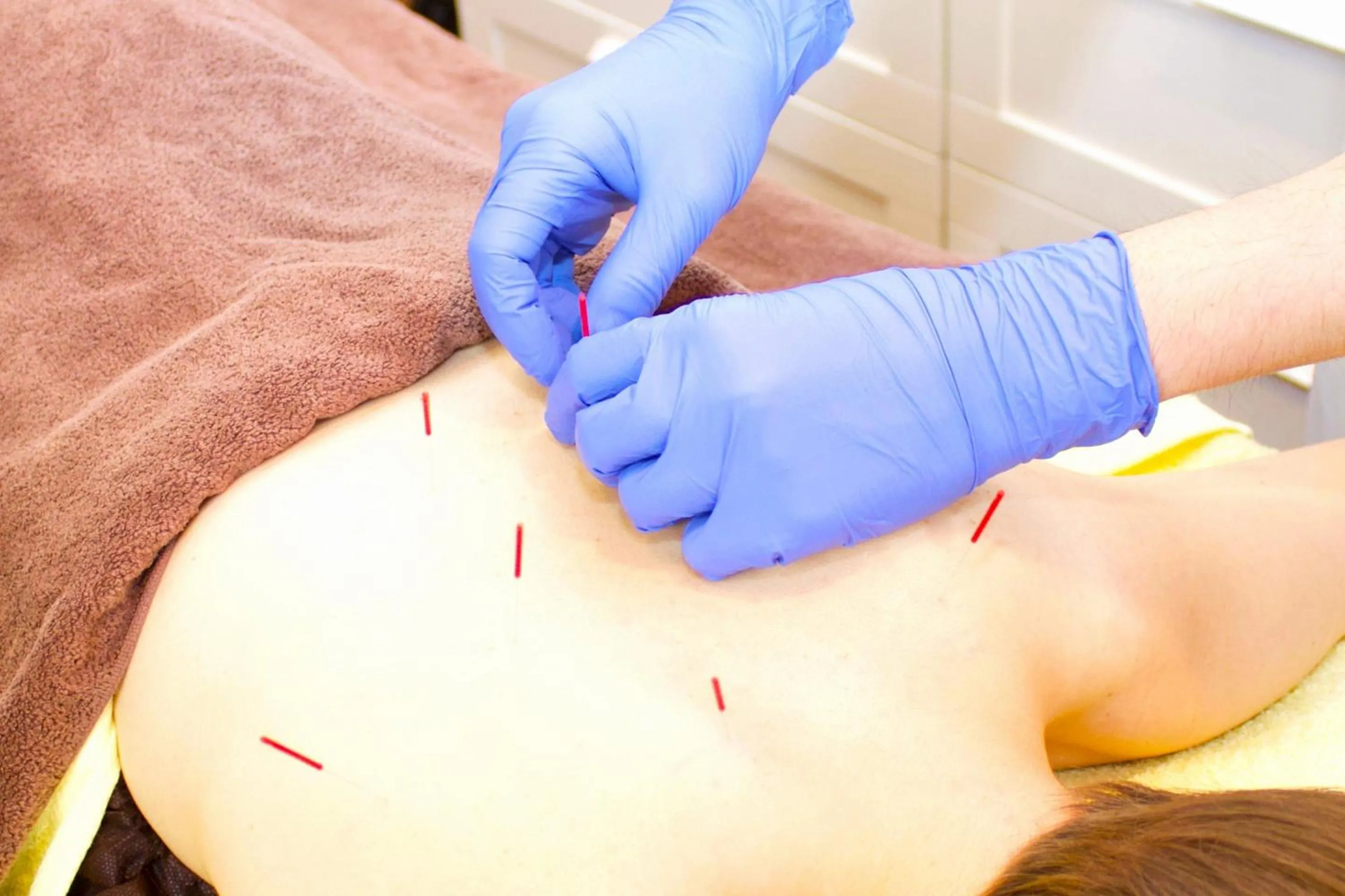 Area and facilities in Naeba Prince Hotel