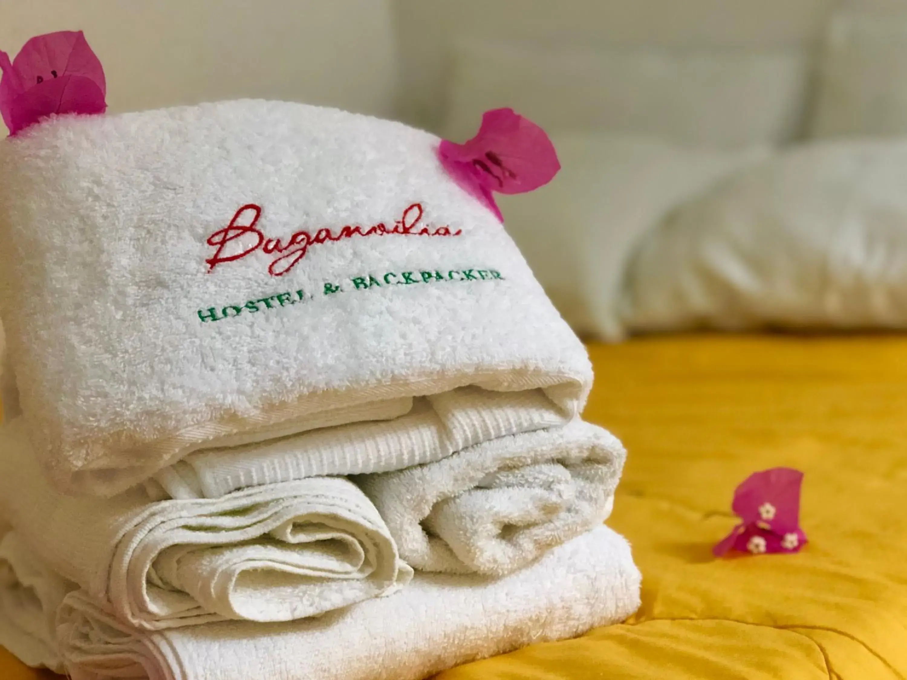 Double Room in BUGANVILIA Double Room in BUGANVILIA