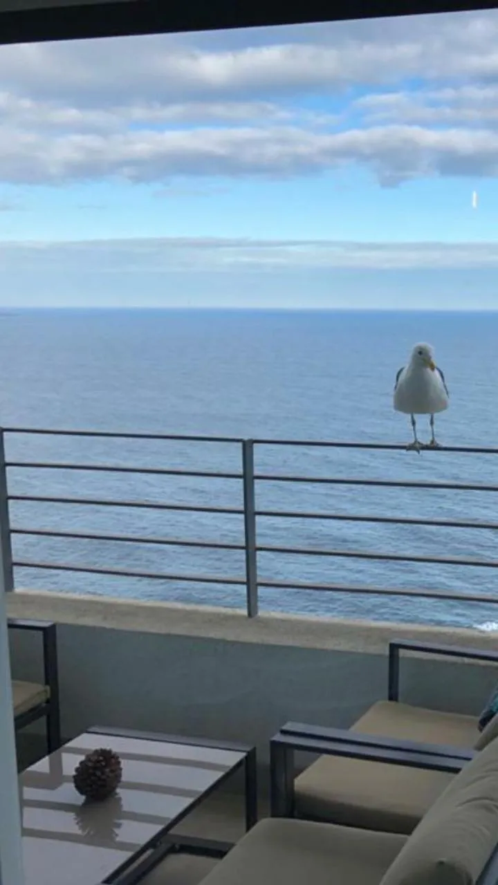 Apartamento Piso 19 Reñaca Vista al Mar