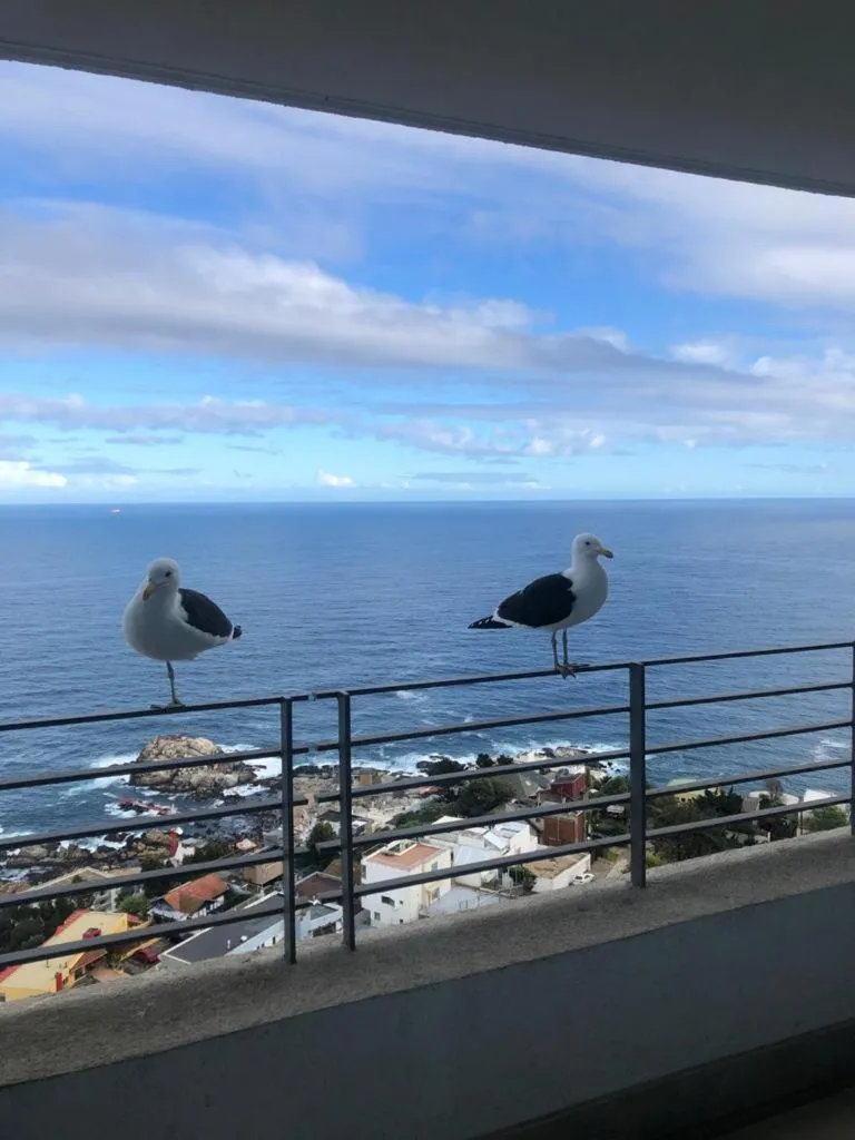 Apartamento Piso 19 Reñaca Vista al Mar