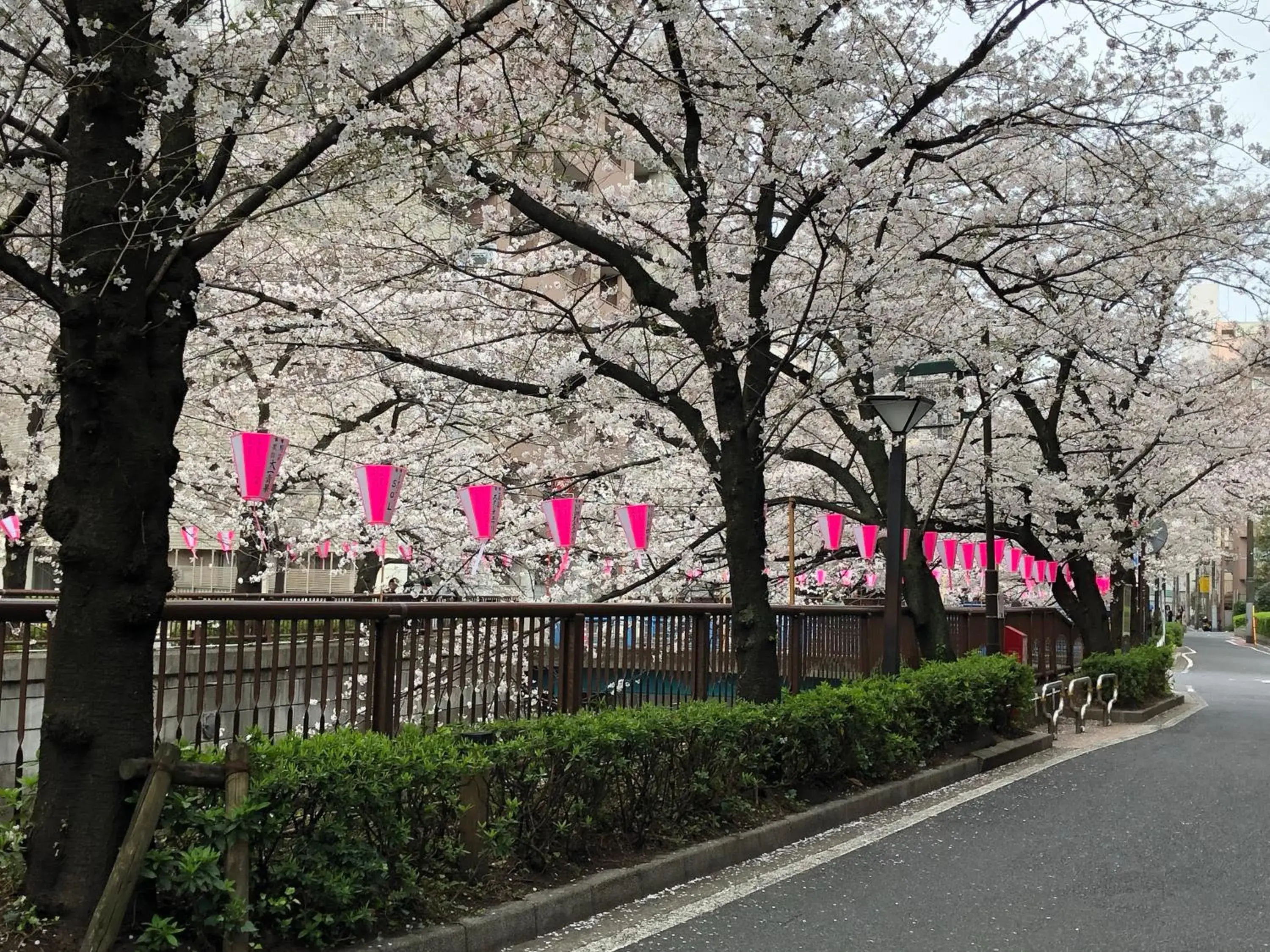 Off site in Wander Tokyo Shibuya Off site in Wander Tokyo Shibuya