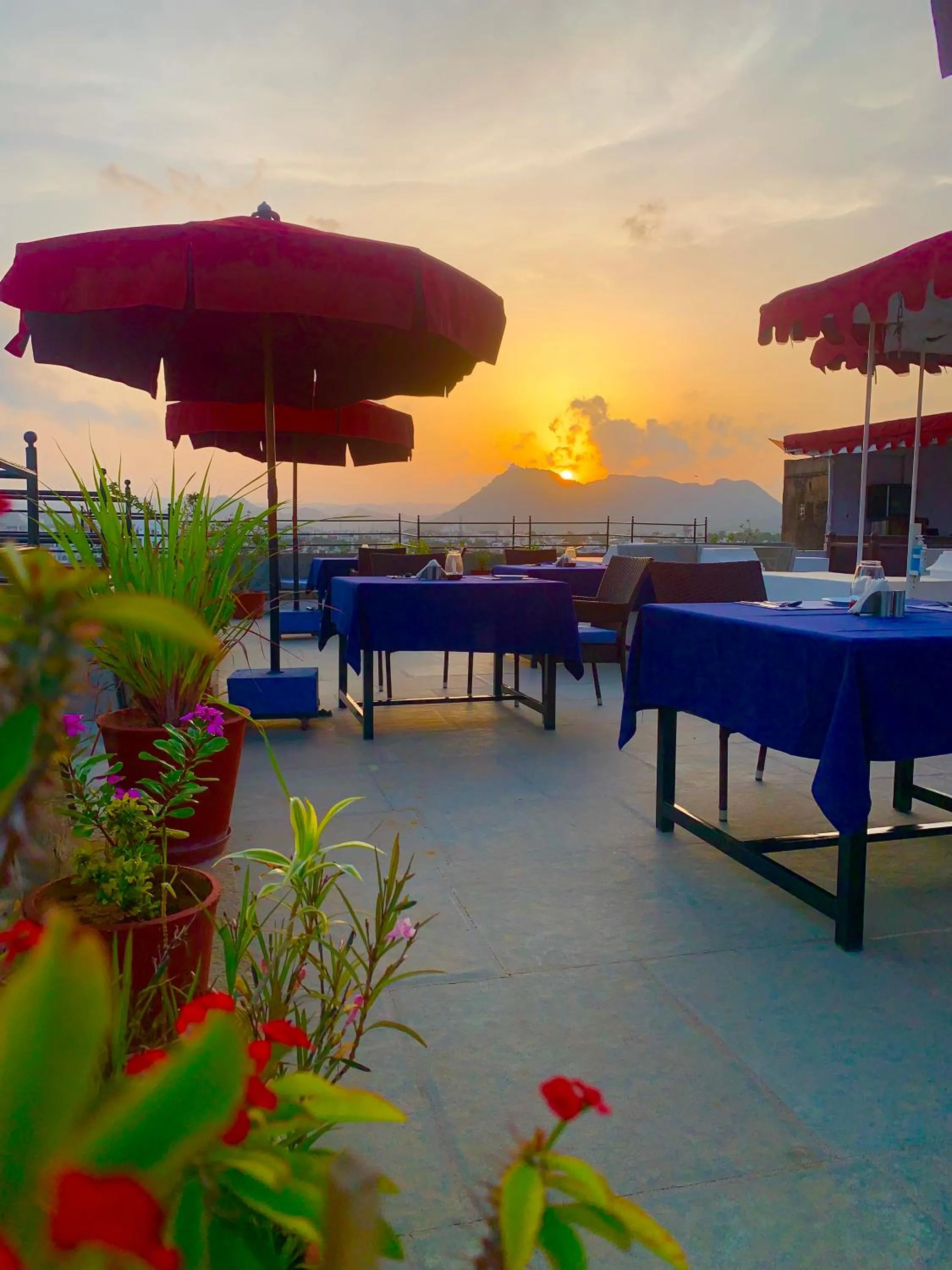 Restaurant/places to eat in Madri Haveli