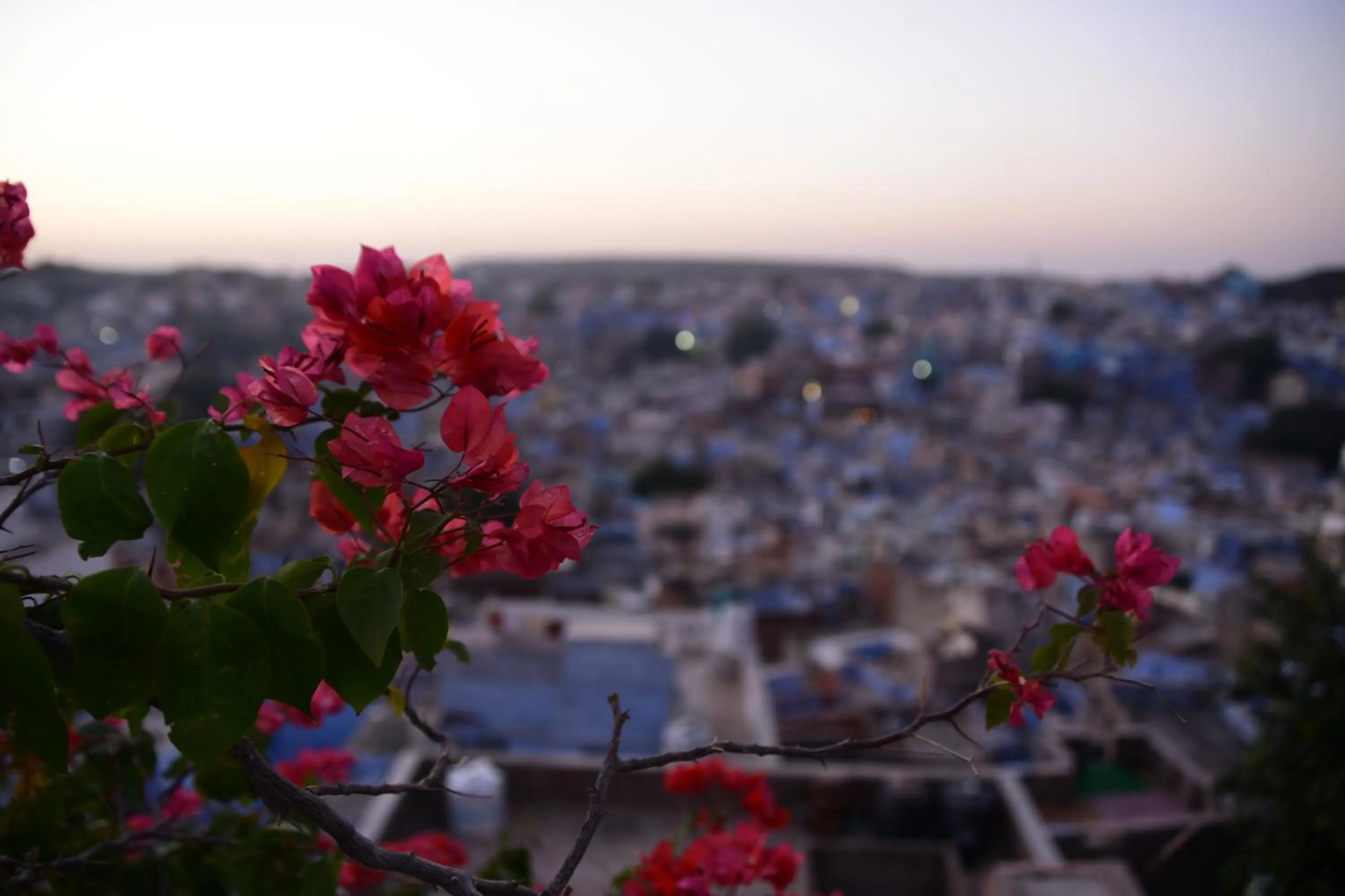 City view in Yogis Guest House