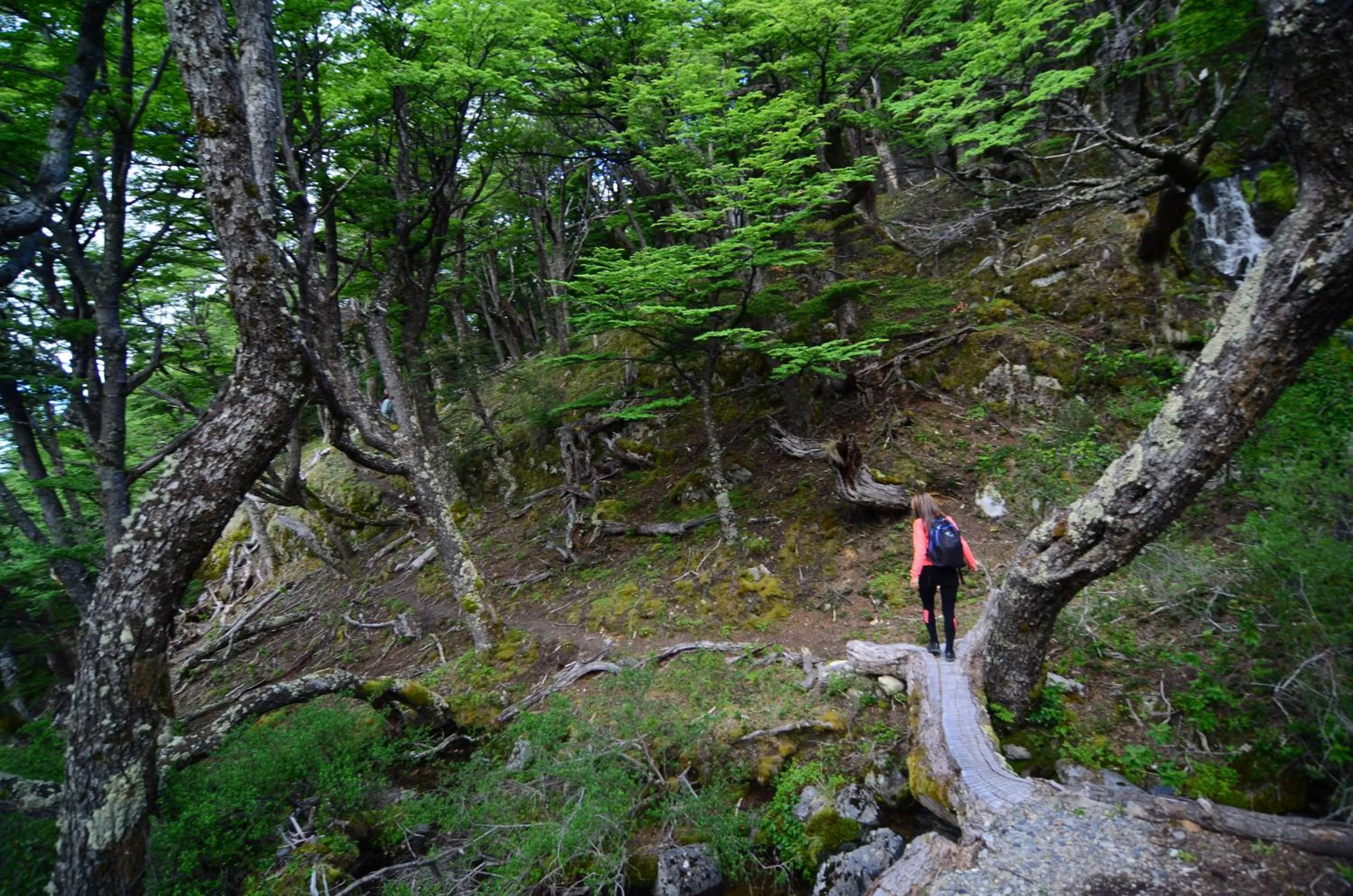 Activities in Aguas Arriba Lodge