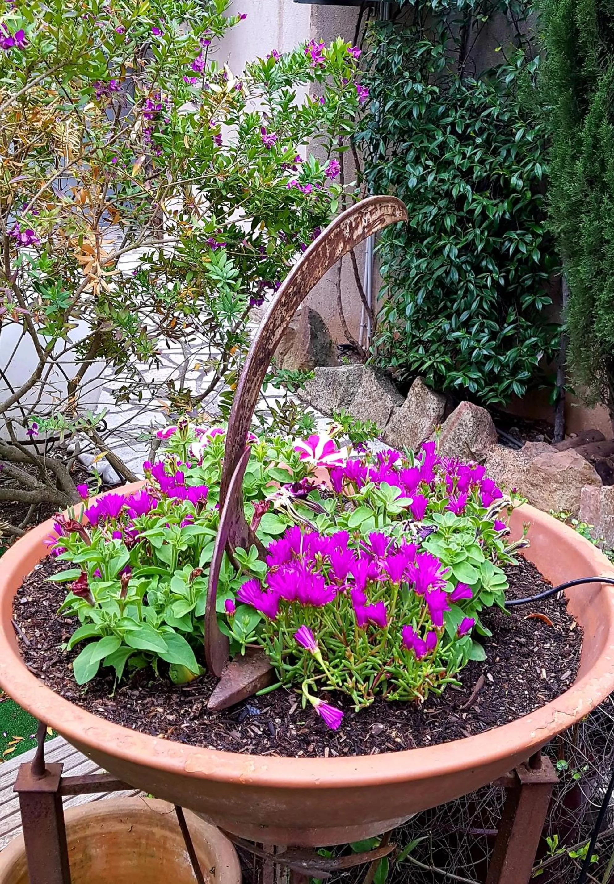 Garden in Le Mas de Marie