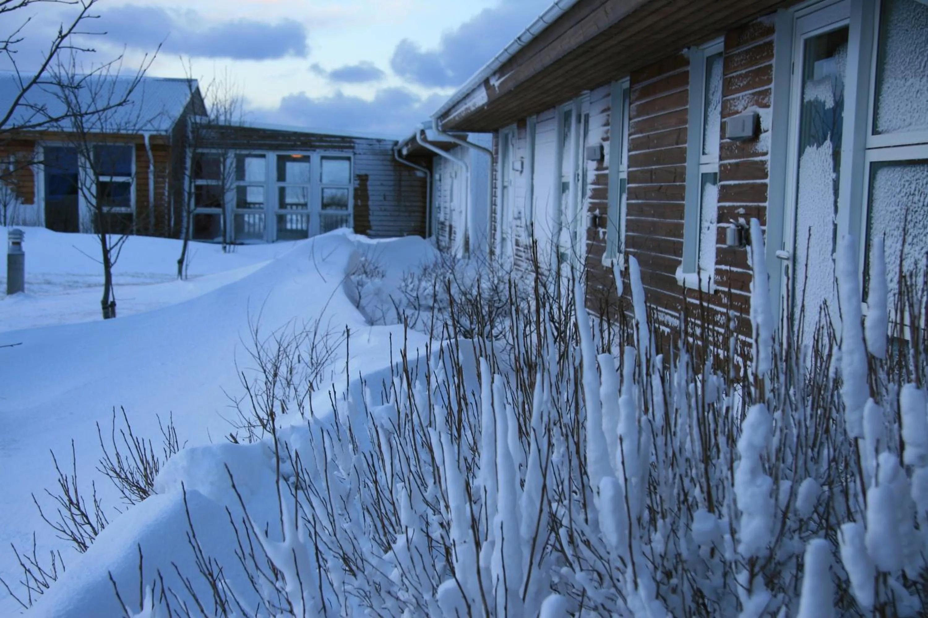 Property building in Hótel Eldhestar