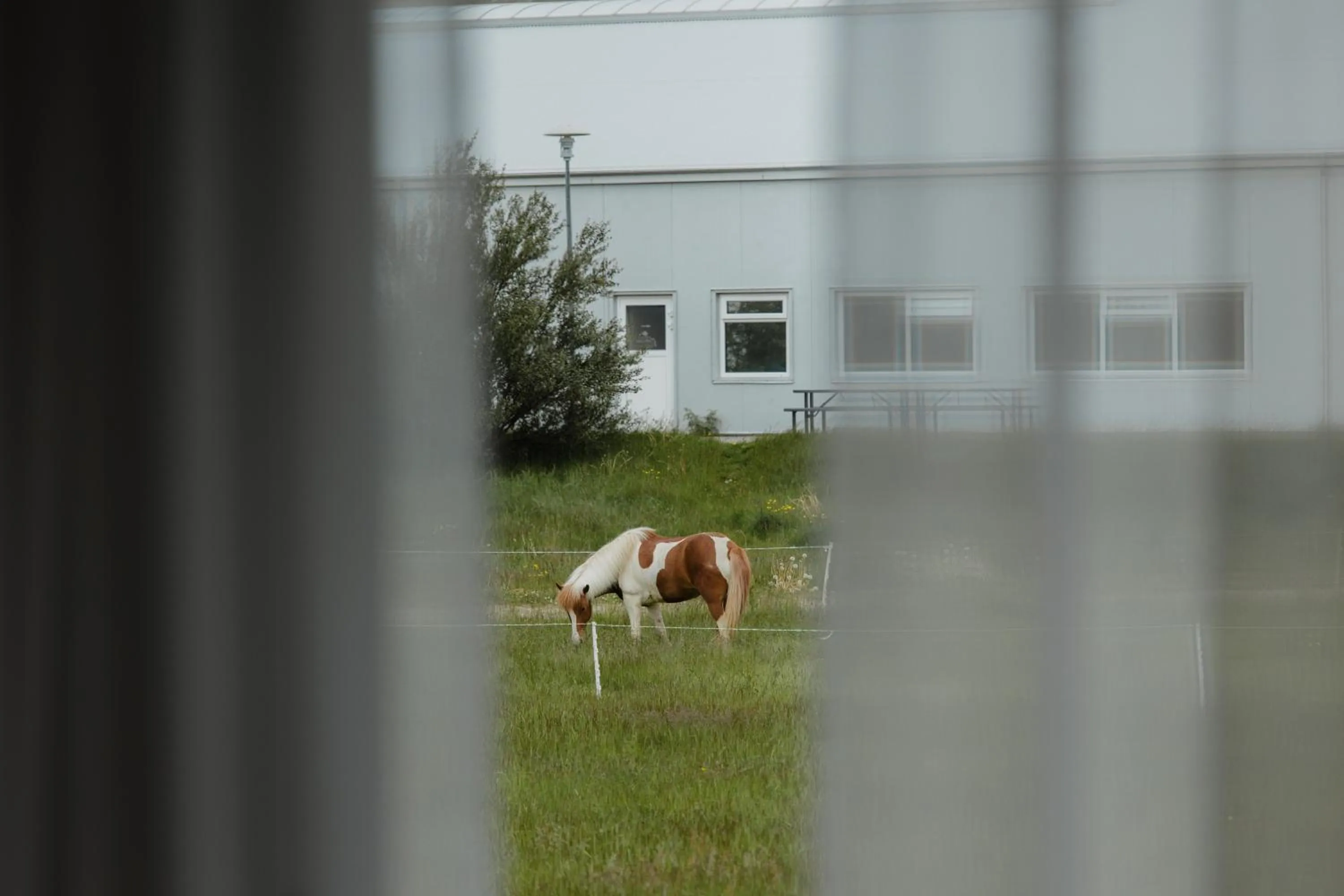 Day in Hótel Eldhestar