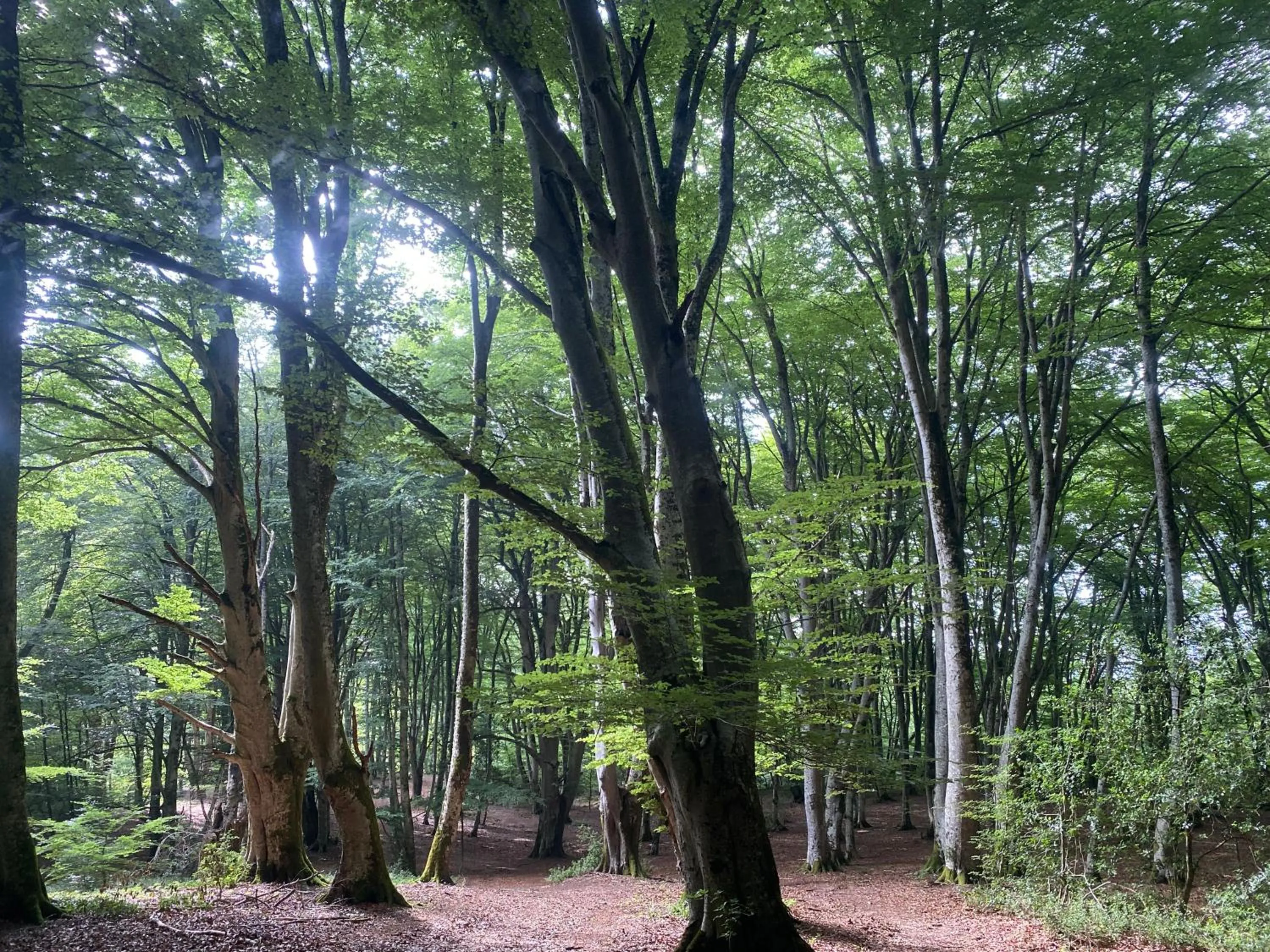 Pyrenées Emotions, Eco-responsables, Nature, Sports Aventures