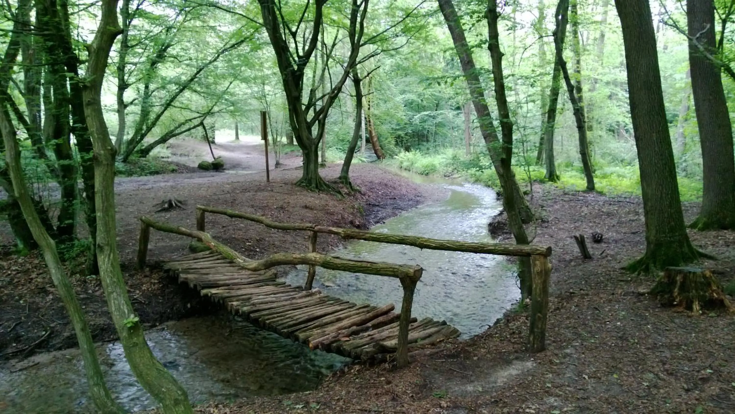 Natural landscape in Albergo Sole
