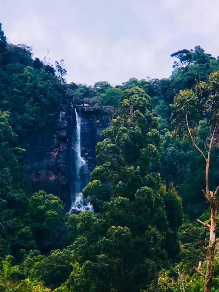 Nearby landmark in The Clovelly Bungalow