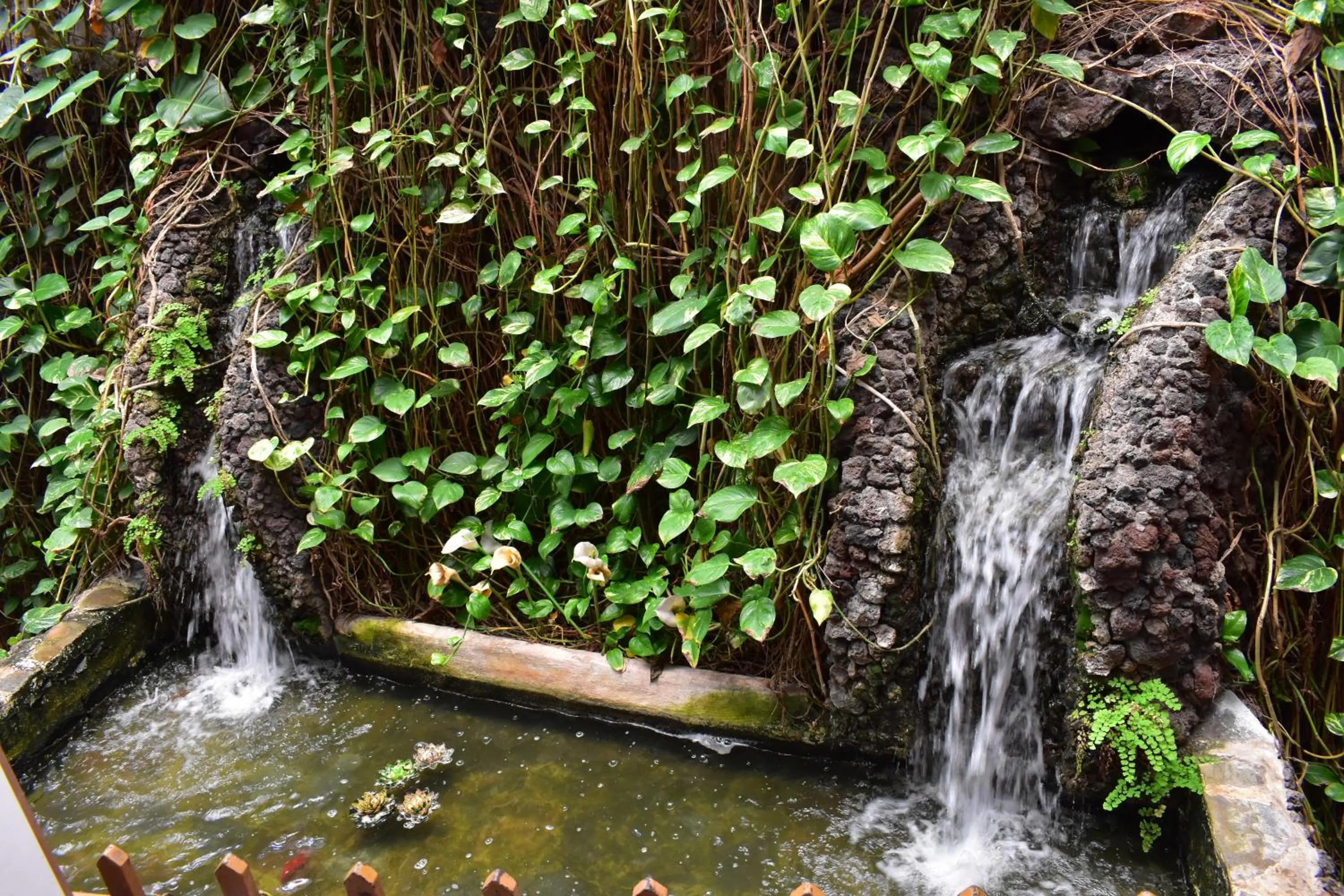 Natural landscape in La Fonda Aeropuerto
