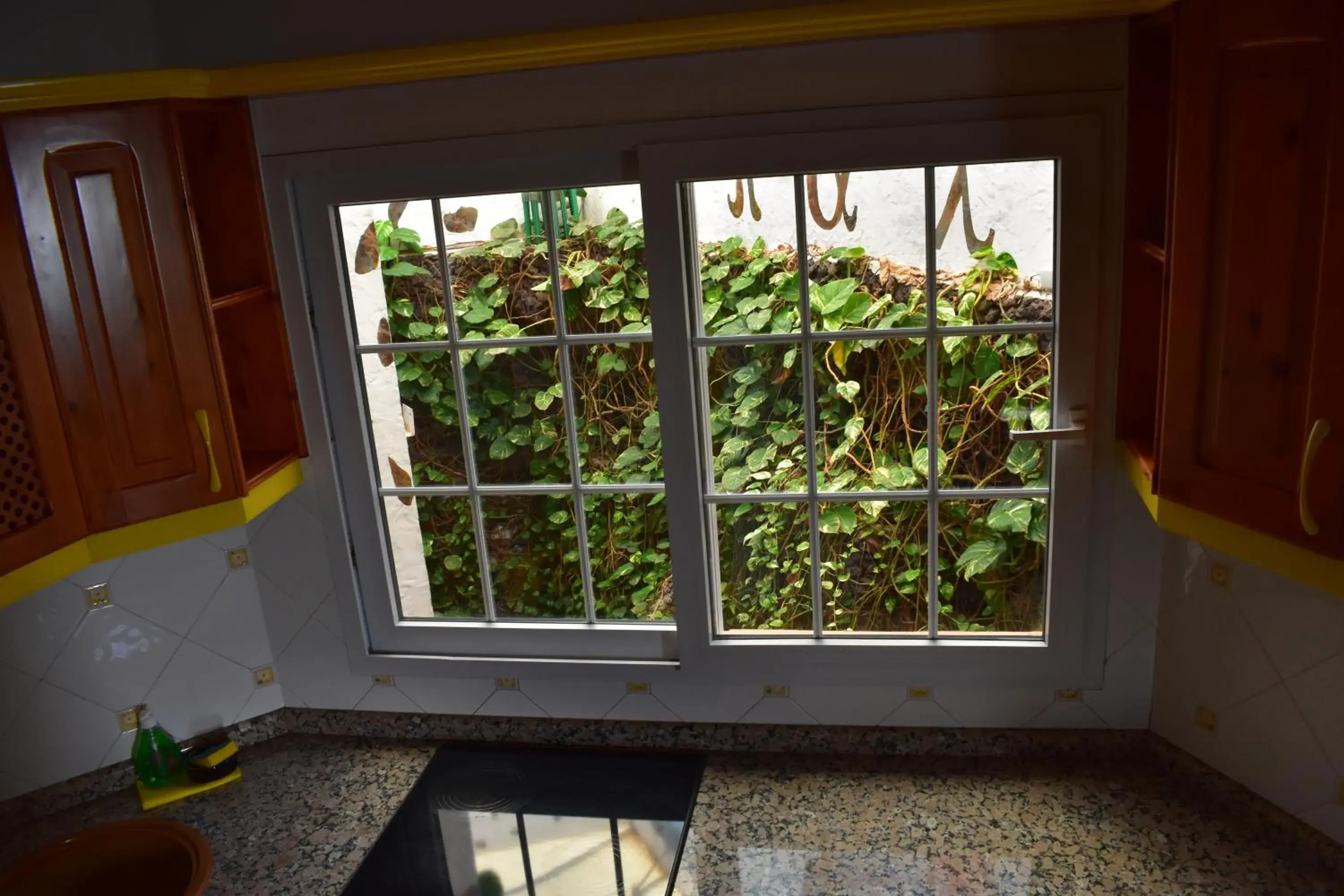 Garden view in La Fonda Aeropuerto Garden view in La Fonda Aeropuerto