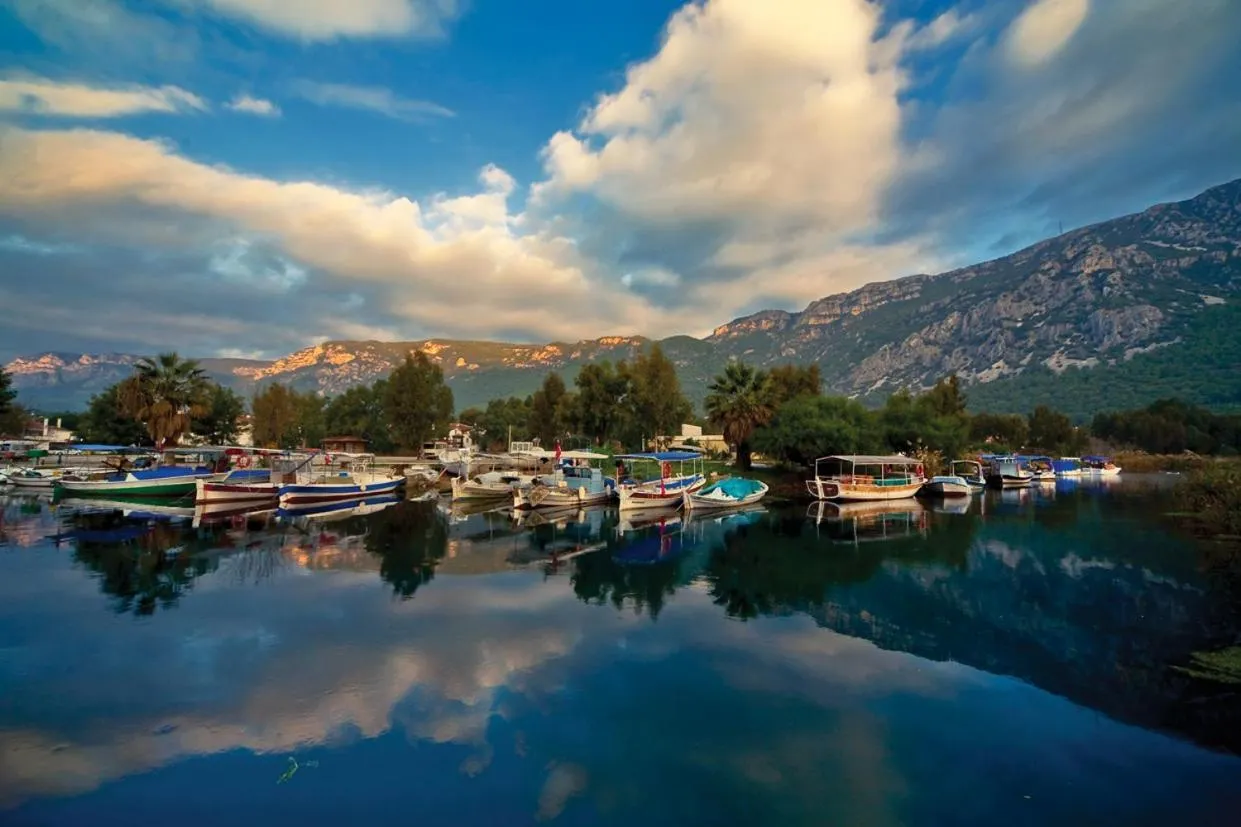 View (from property/room) in Yucelen Hotel