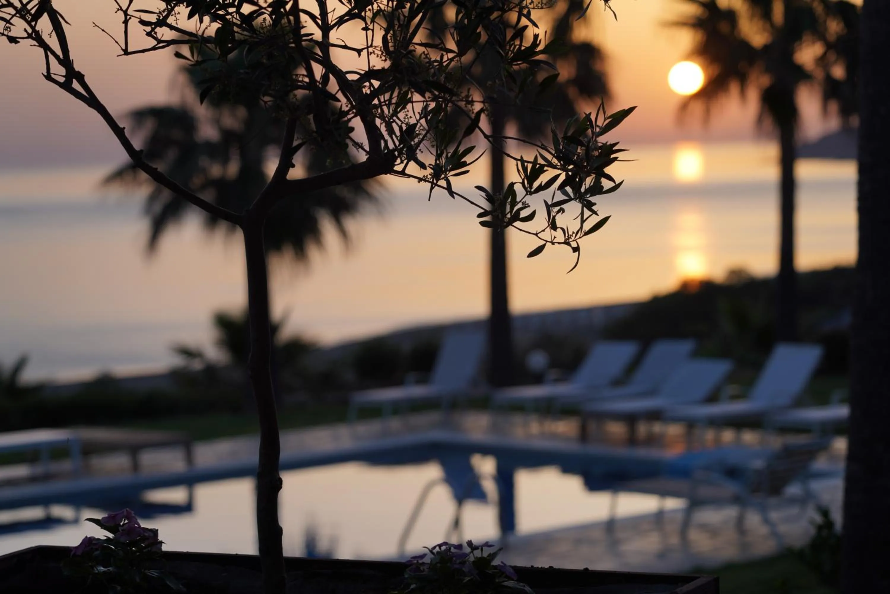Aneria Suites