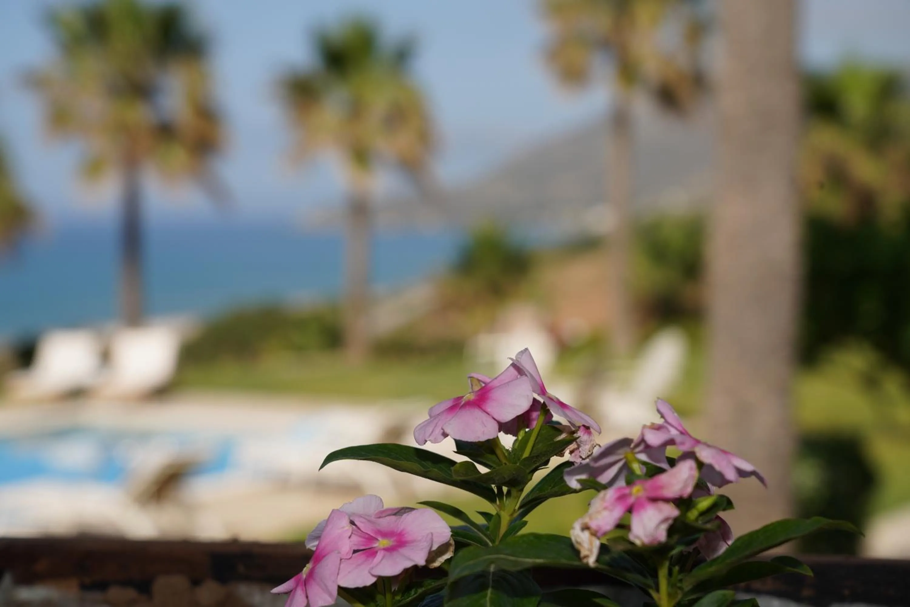 Aneria Suites