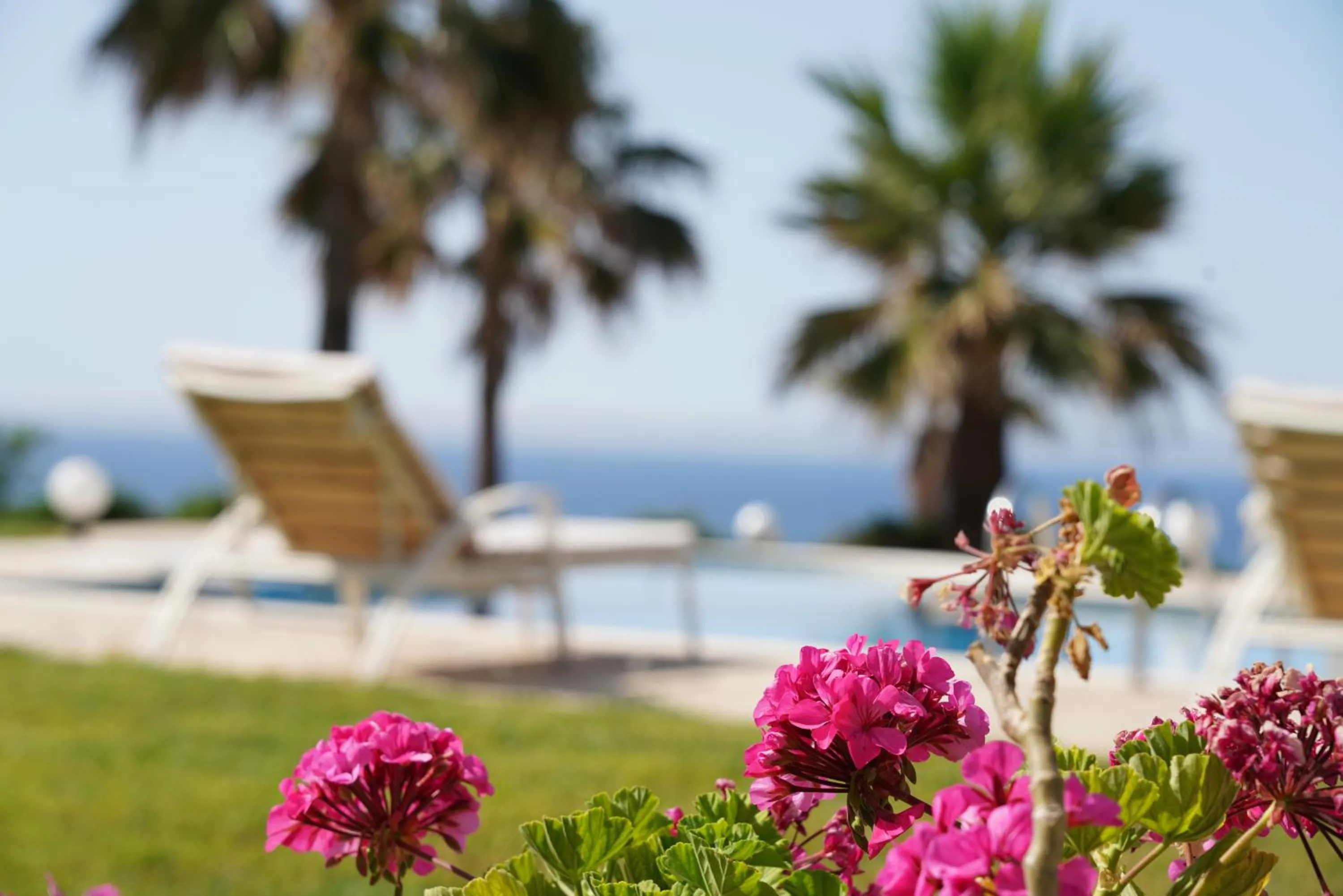 Aneria Suites