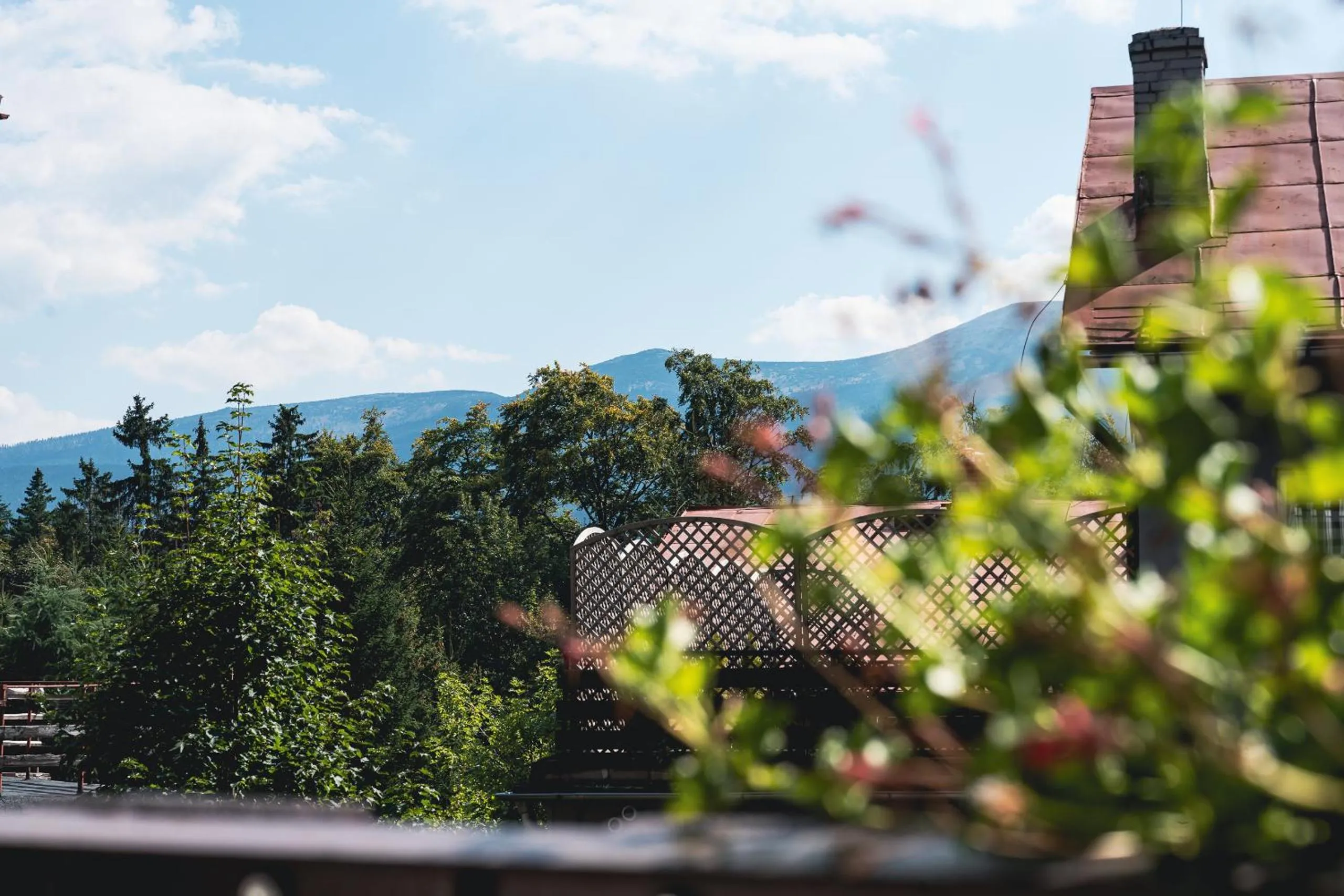 Garden view in Willa Sonata - Apartamenty & Balia - Szklarska Poręba
