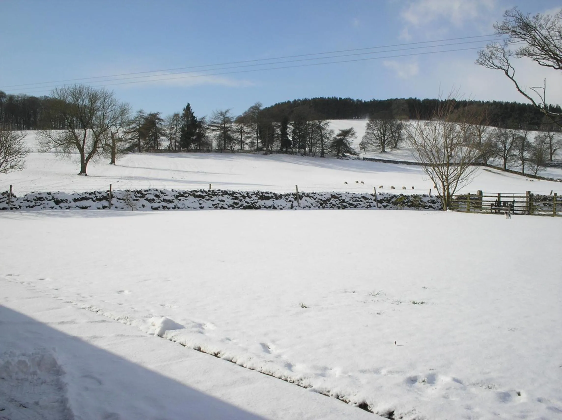 Day in Green Grove Country House