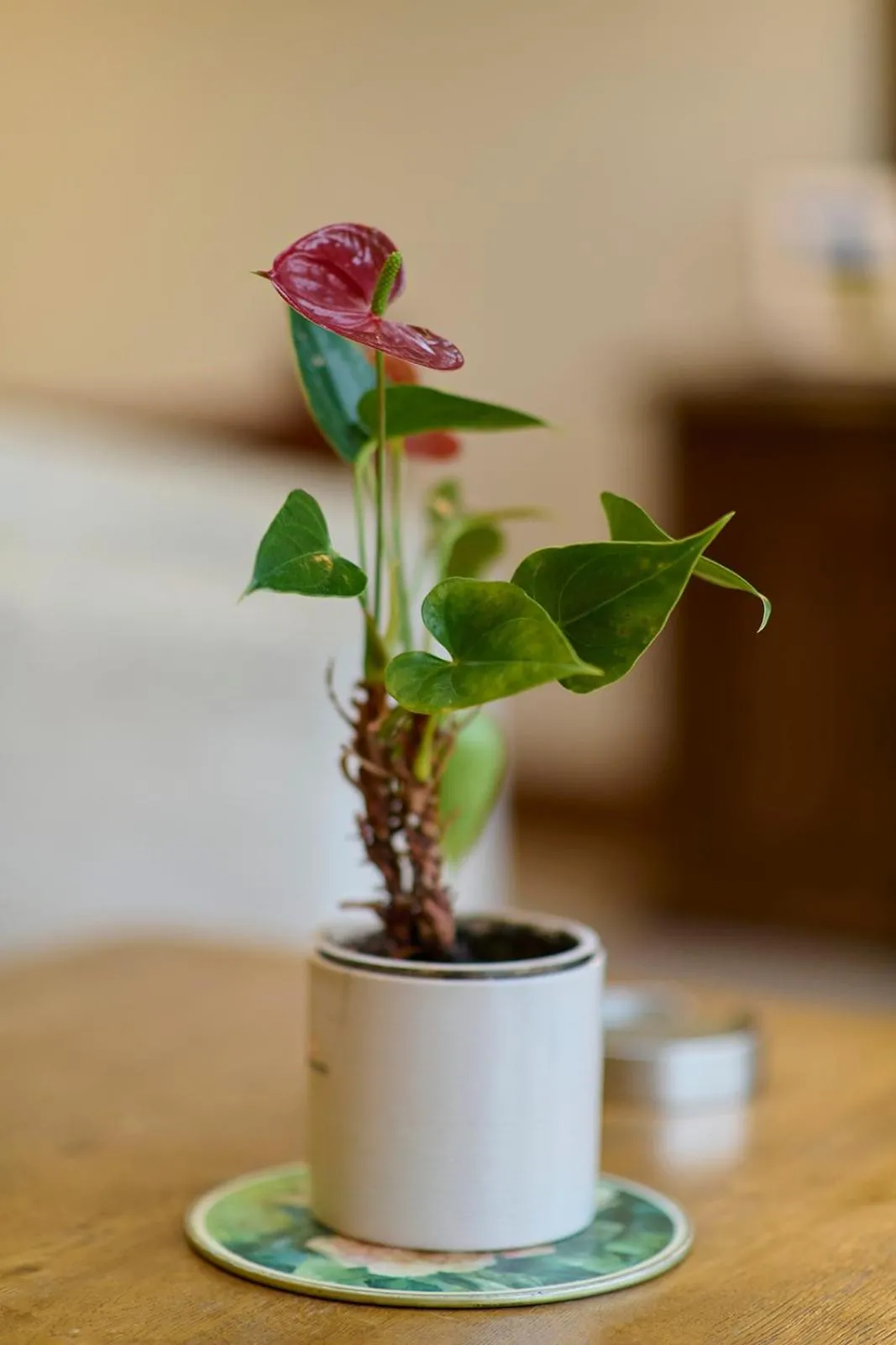 Decorative detail in Green Grove Country House