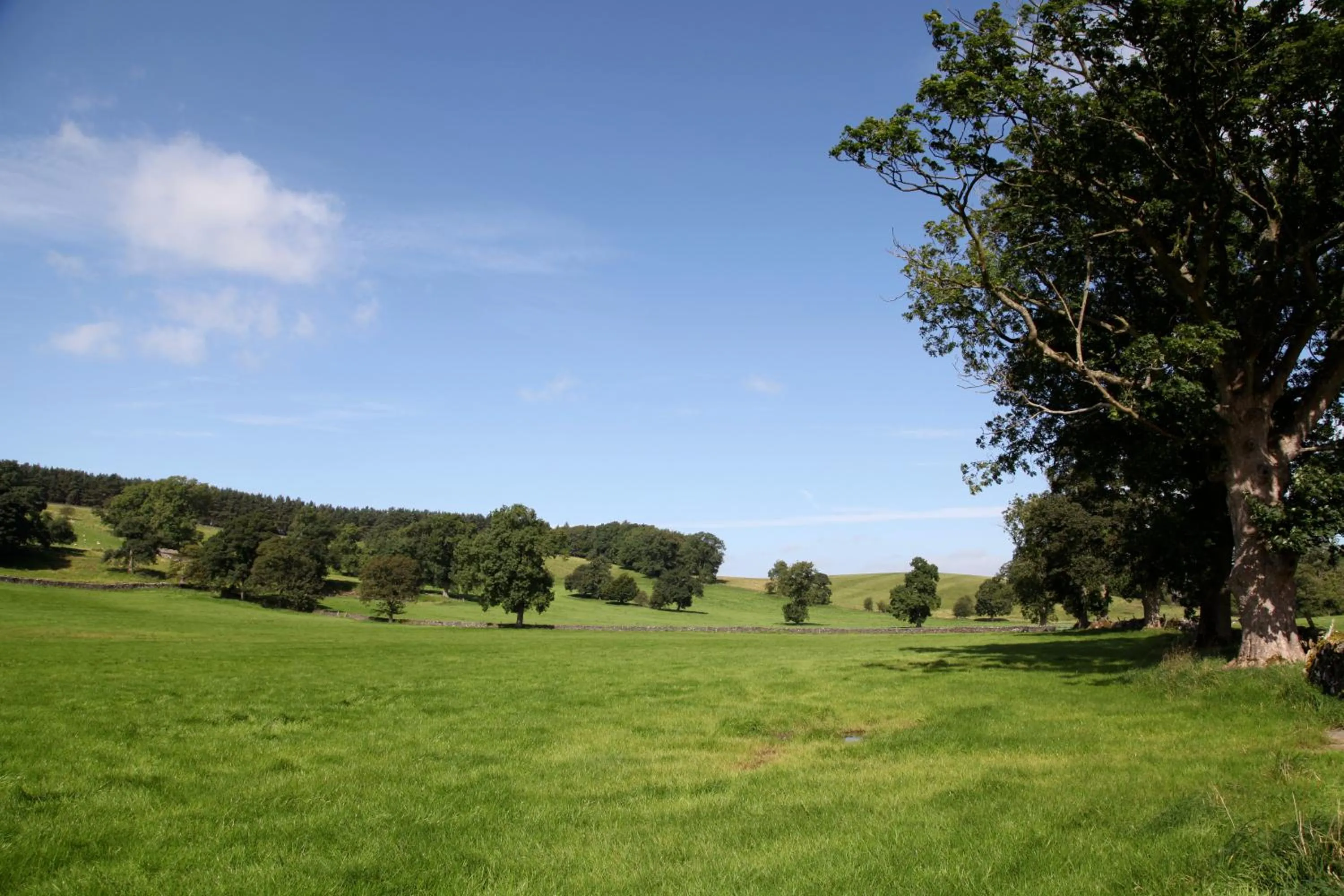 Summer in Green Grove Country House