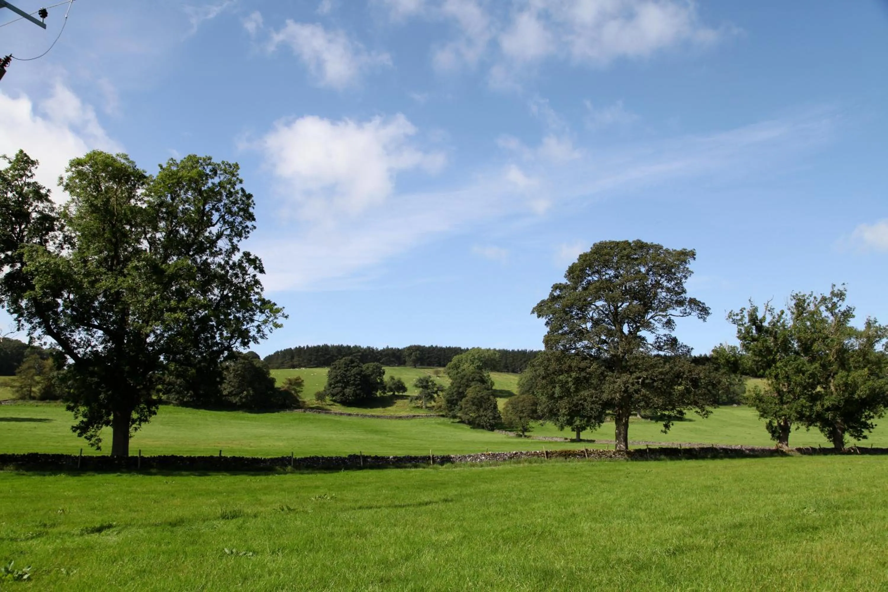 Summer in Green Grove Country House