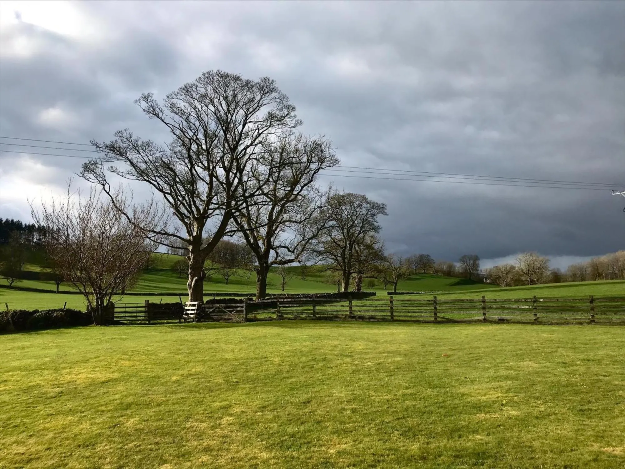 Garden view in Green Grove Country House