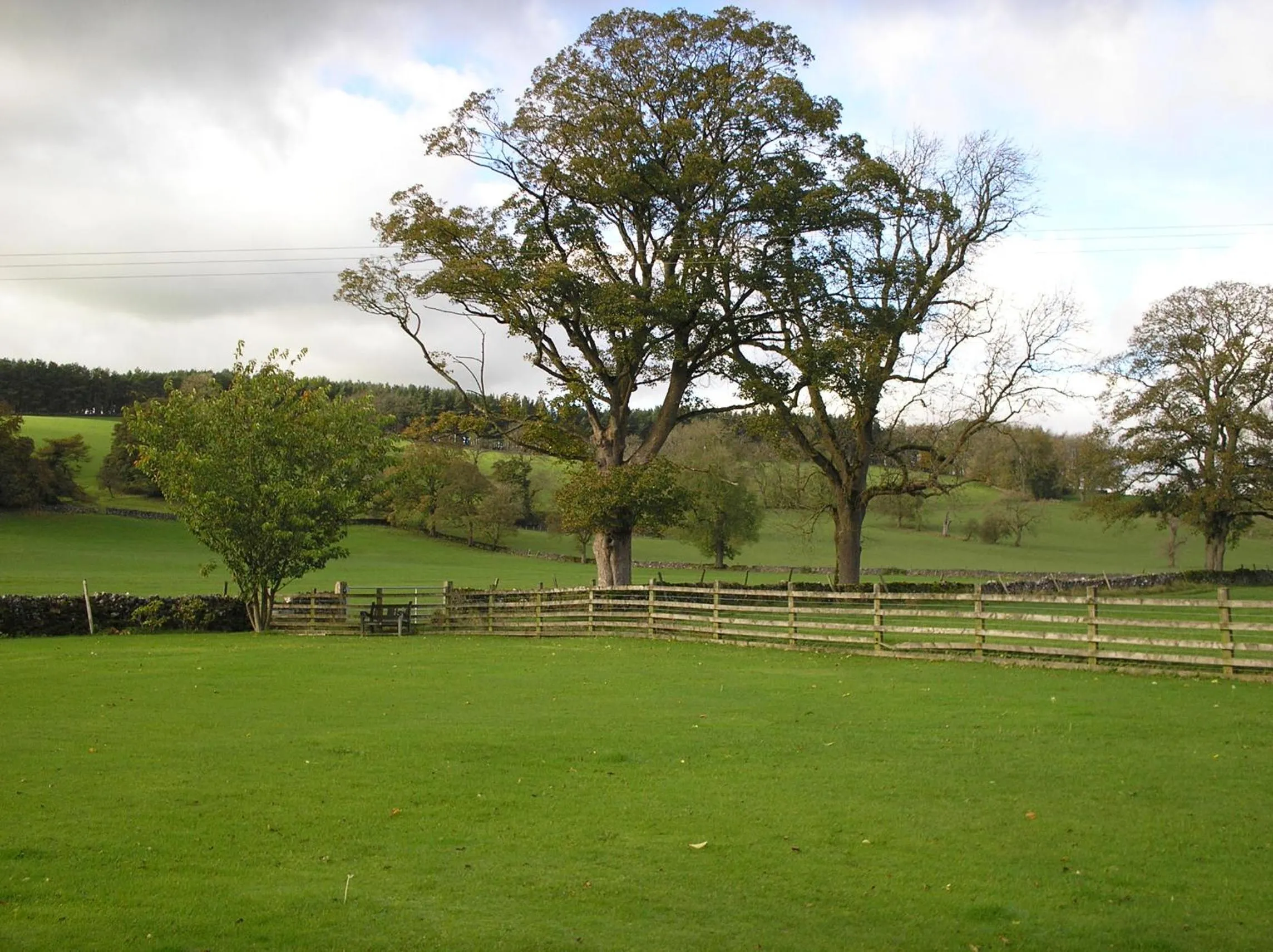 Day in Green Grove Country House