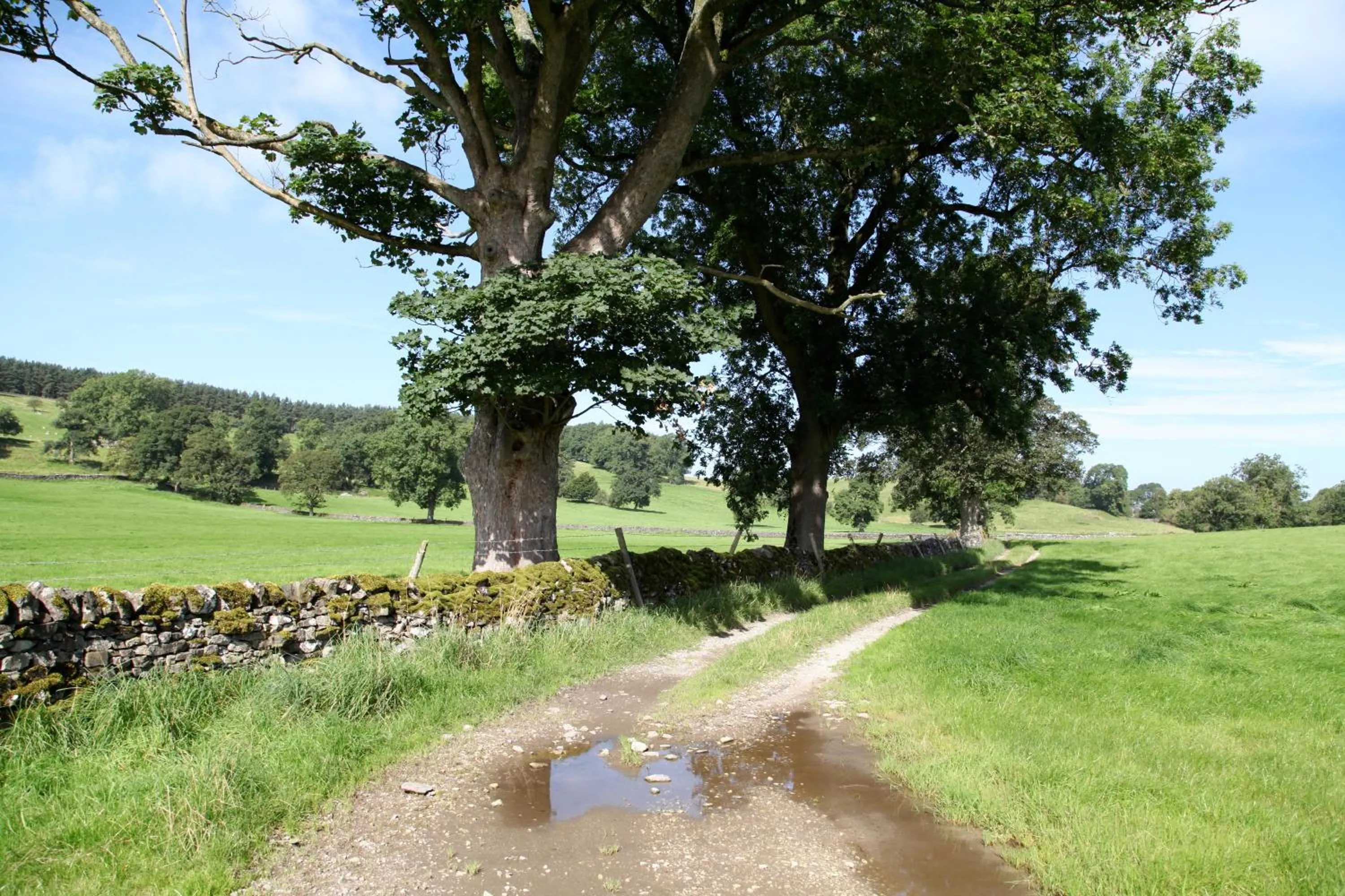 Summer in Green Grove Country House