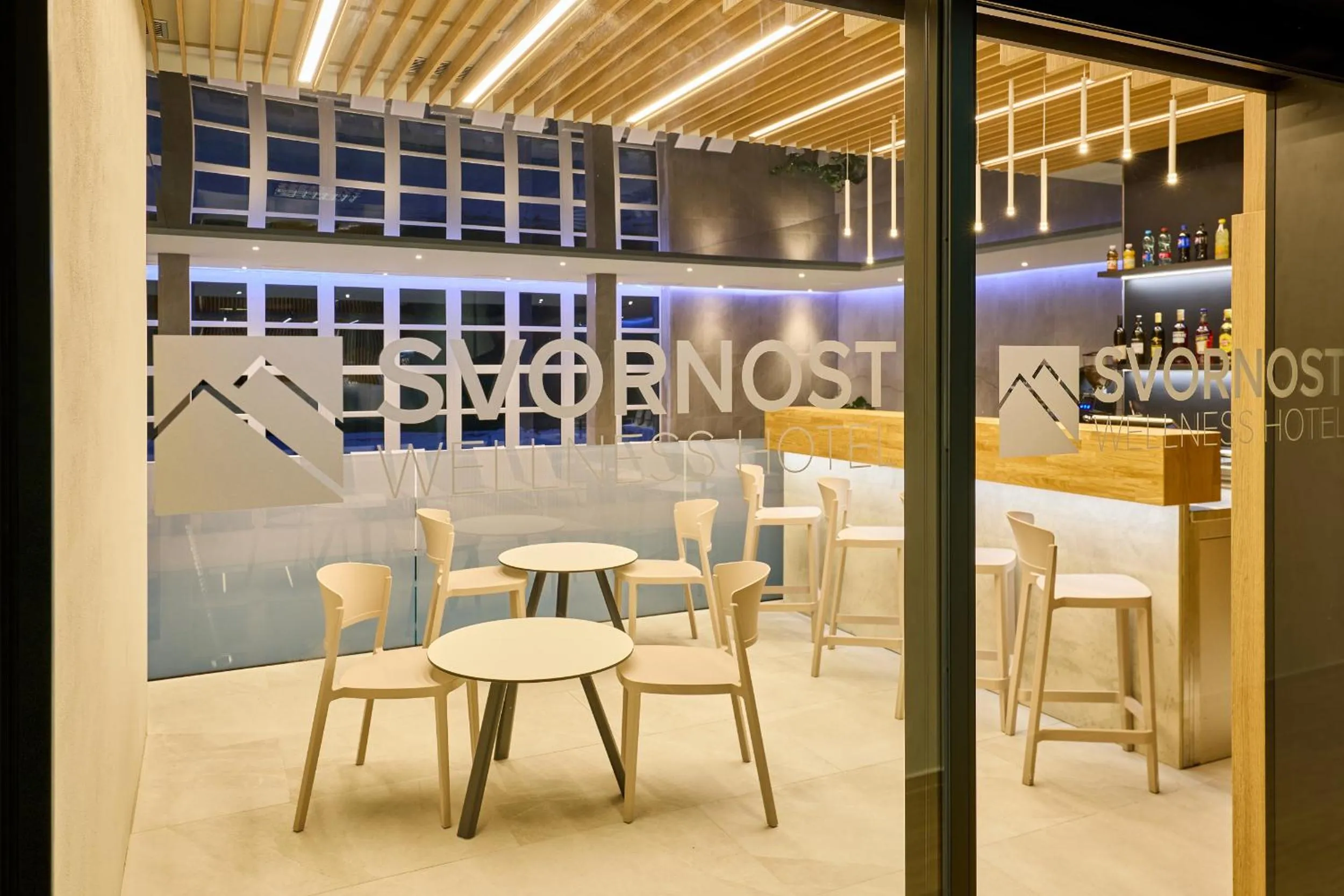 Swimming pool in Wellness Hotel Svornost