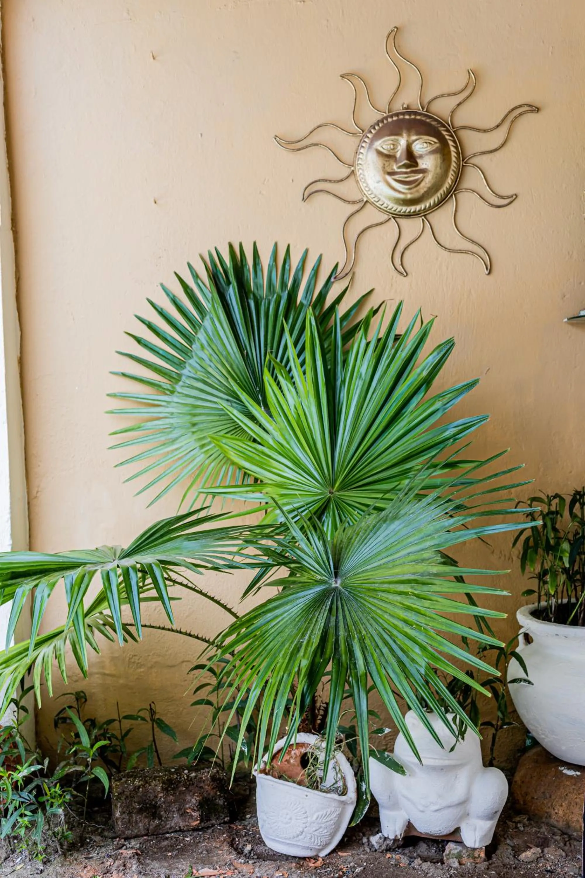 Bungalows Maria Teresa