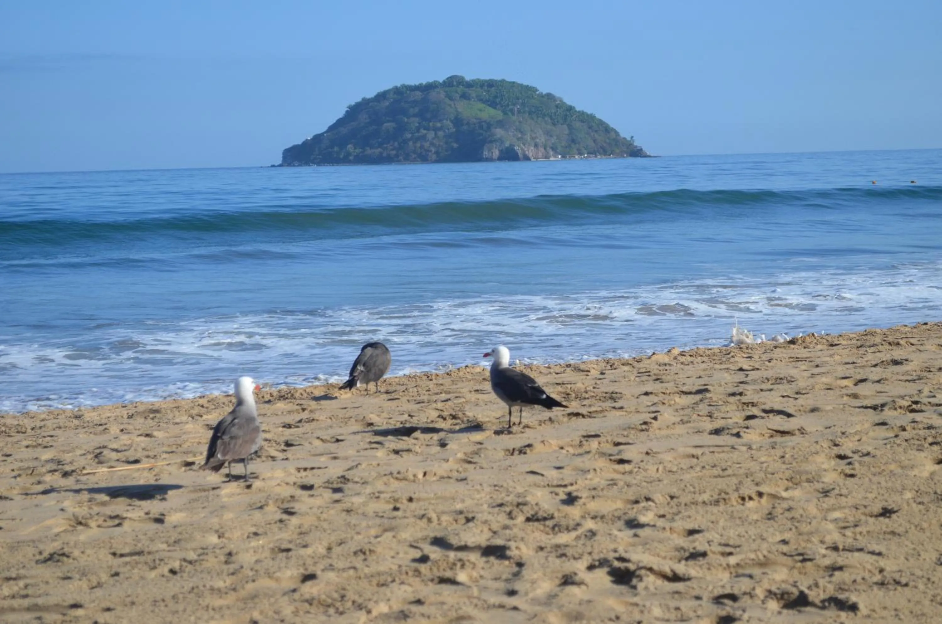 Beach in Bungalows Maria Teresa