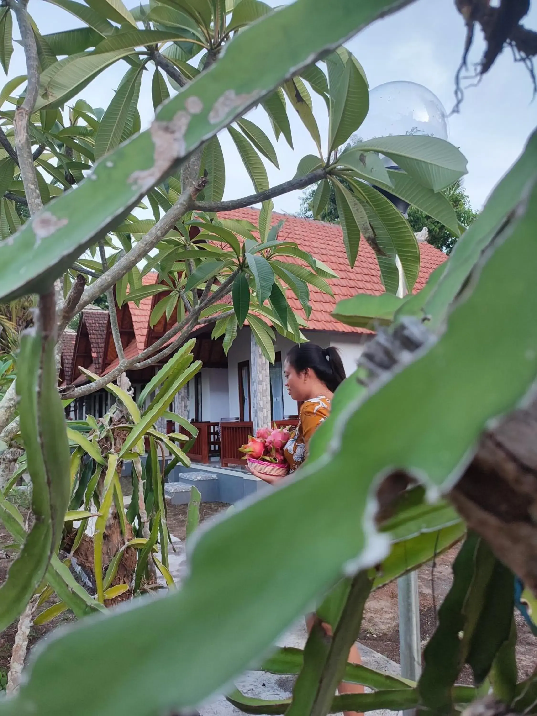 Deluxe Double Room in Santhi Guna Bungalow Deluxe Double Room in Santhi Guna Bungalow