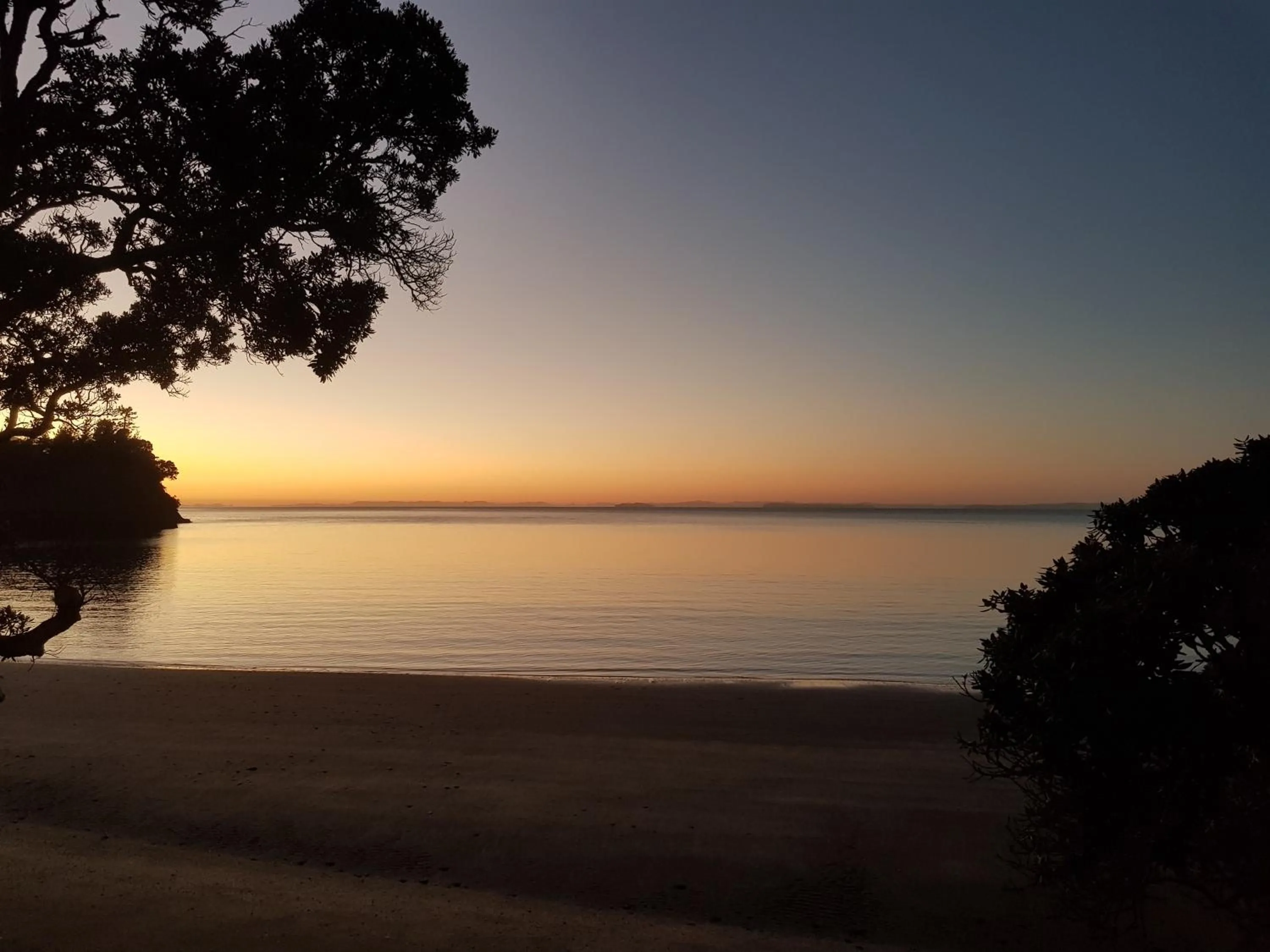Natural landscape in Whangaparaoa Lodge