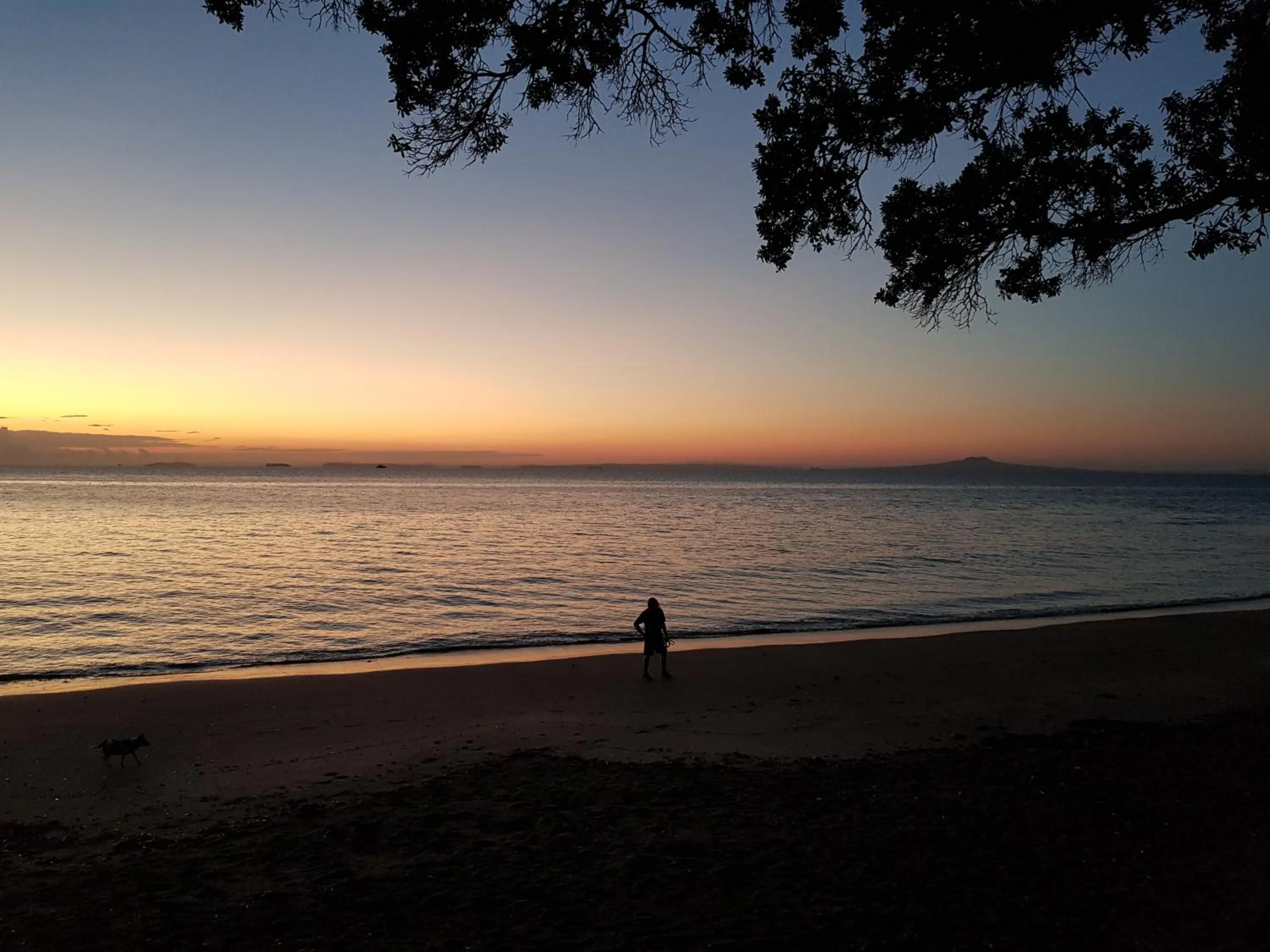 Beach in Whangaparaoa Lodge