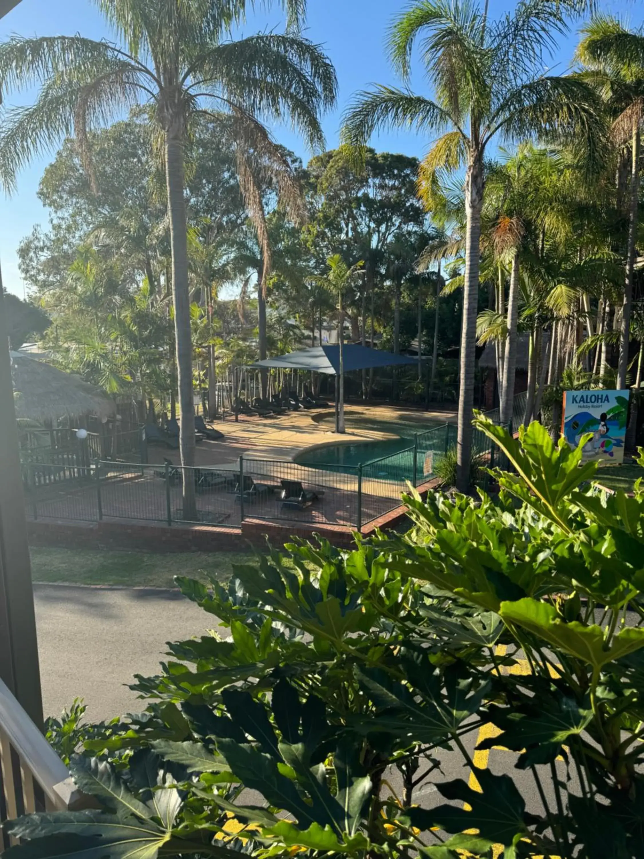 Garden view in Kaloha Holiday Resort Phillip Island Garden view in Kaloha Holiday Resort Phillip Island