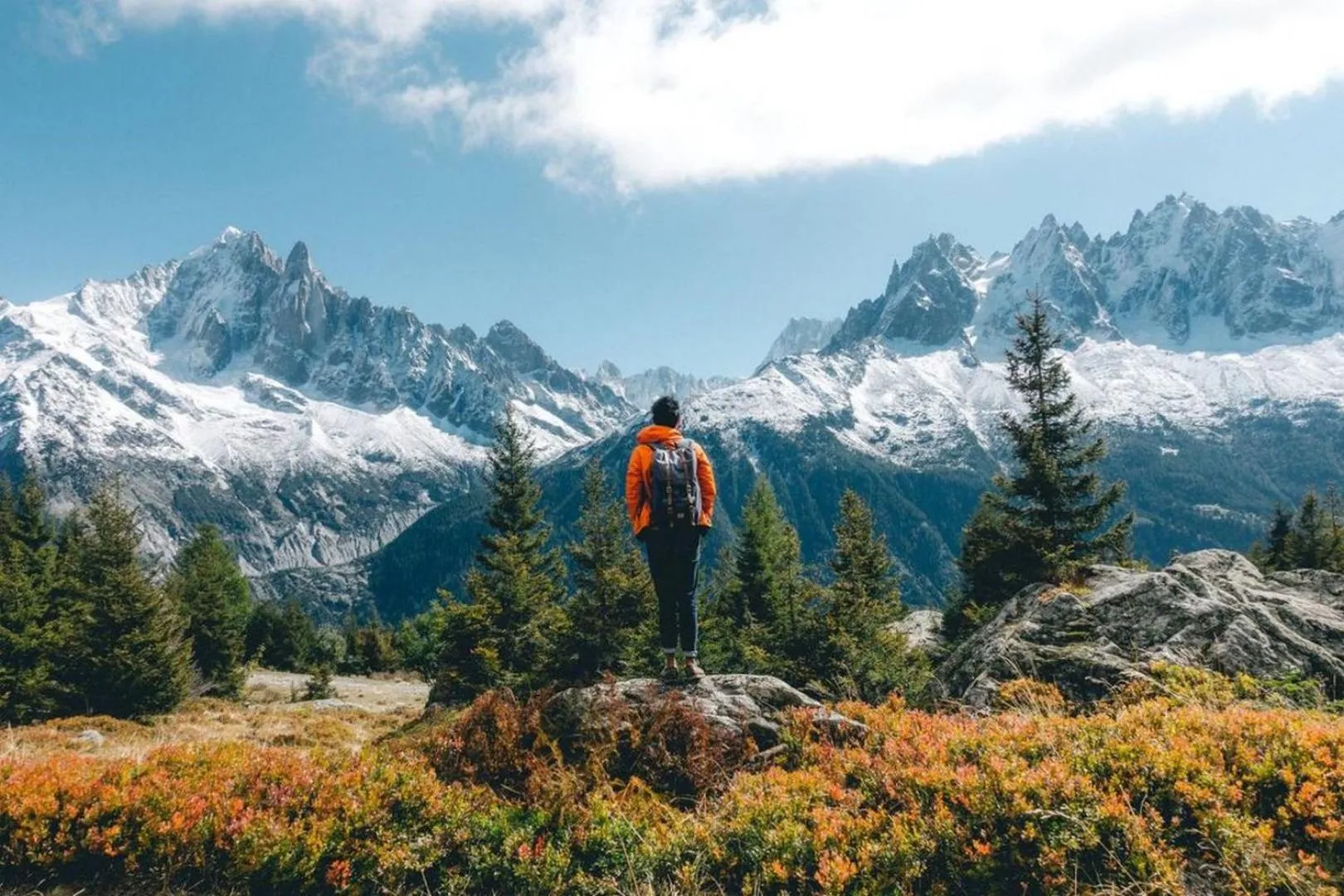 Natural landscape in Apartment Grepon 3A - A Central Chamonix Haven