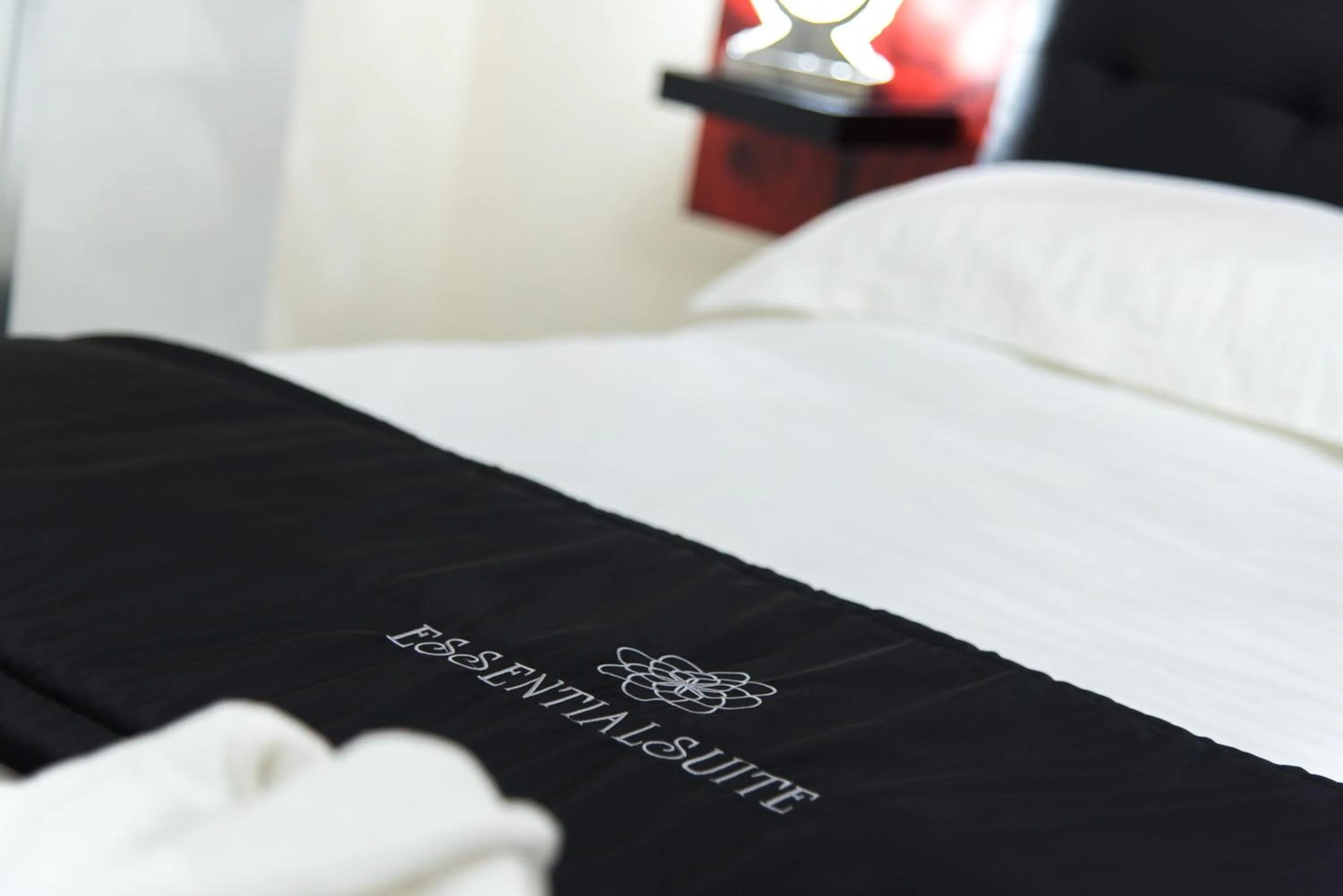 Photo of the whole room, Bed in Essential Suite B&B Botanic