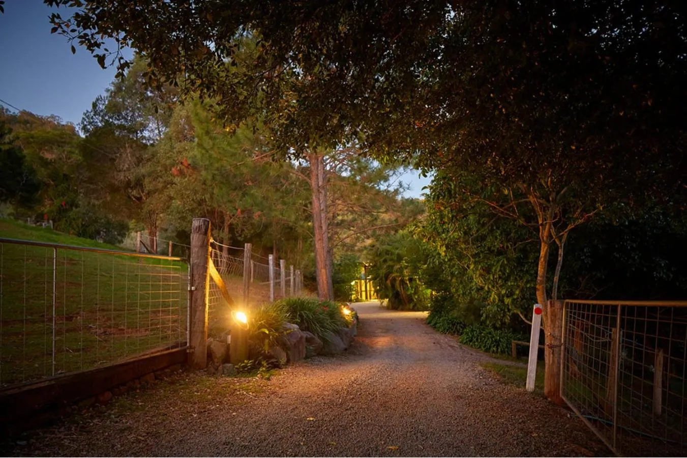 Garden in Dayboro Cottages
