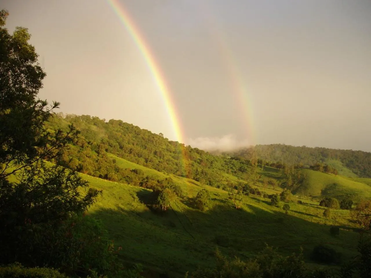 Mountain view in Dayboro Cottages