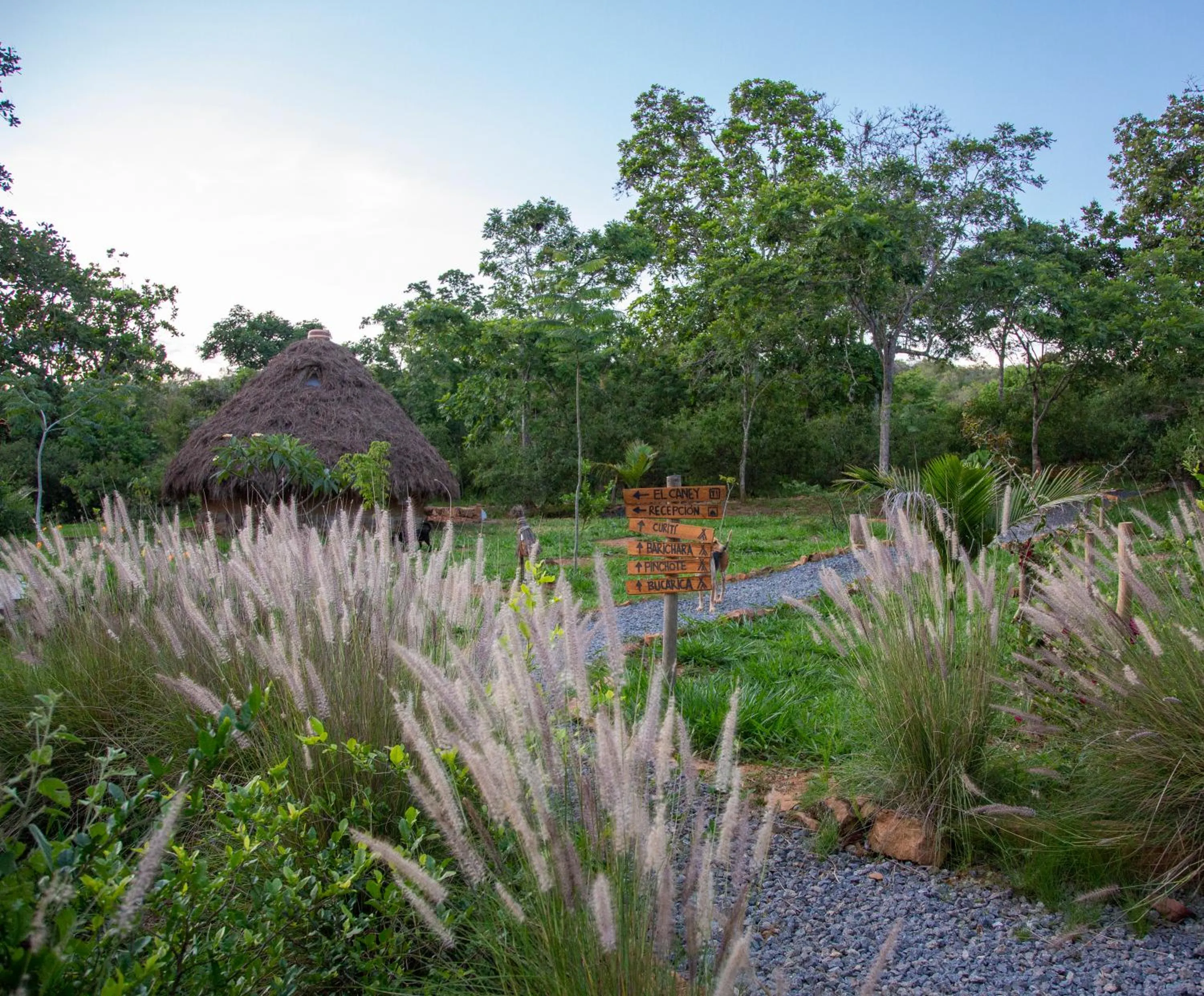 Property building in Nativo Eco-Hotel Barichara