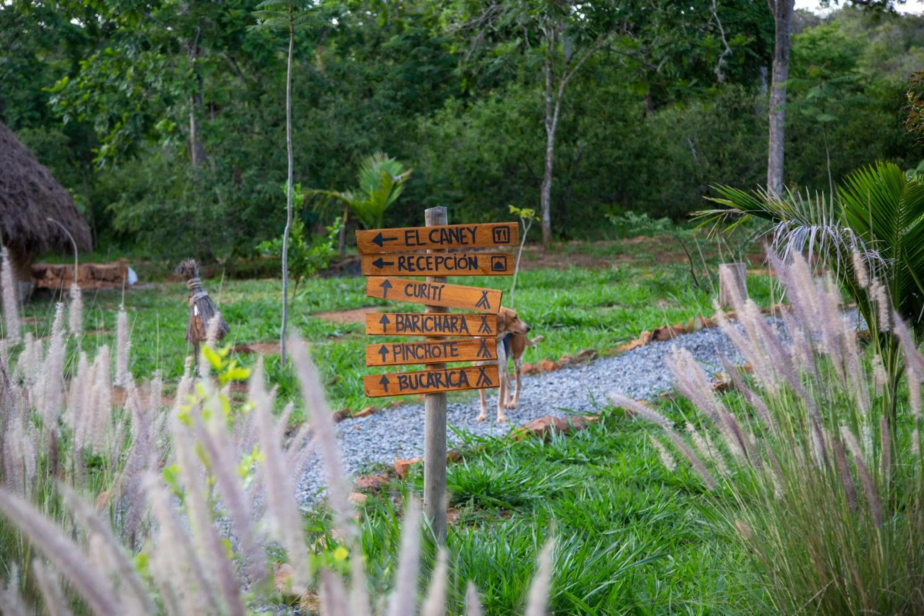 Property building in Nativo Eco-Hotel Barichara