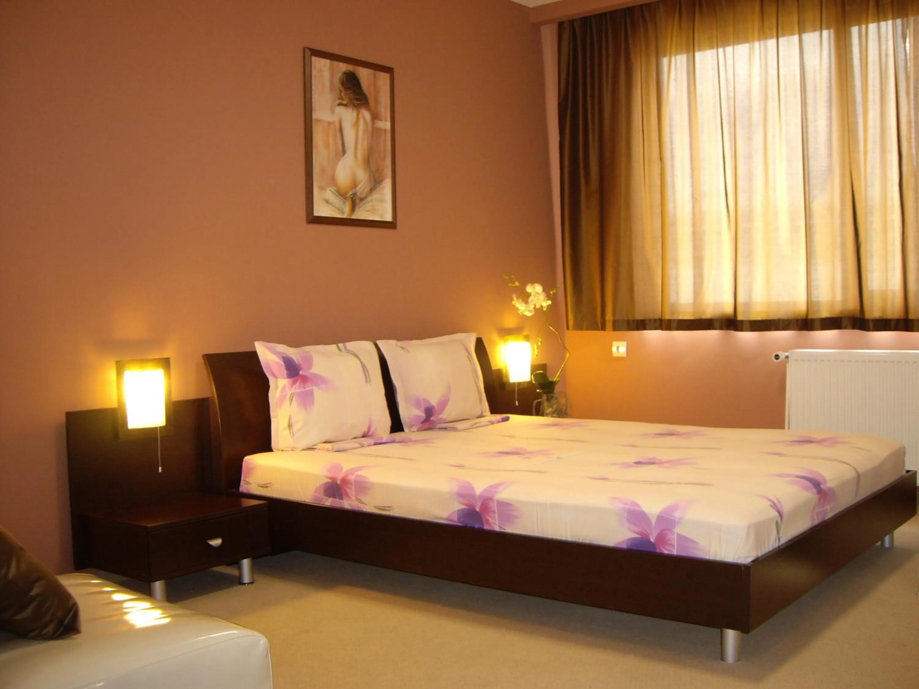 Photo of the whole room in Family Hotel Mania