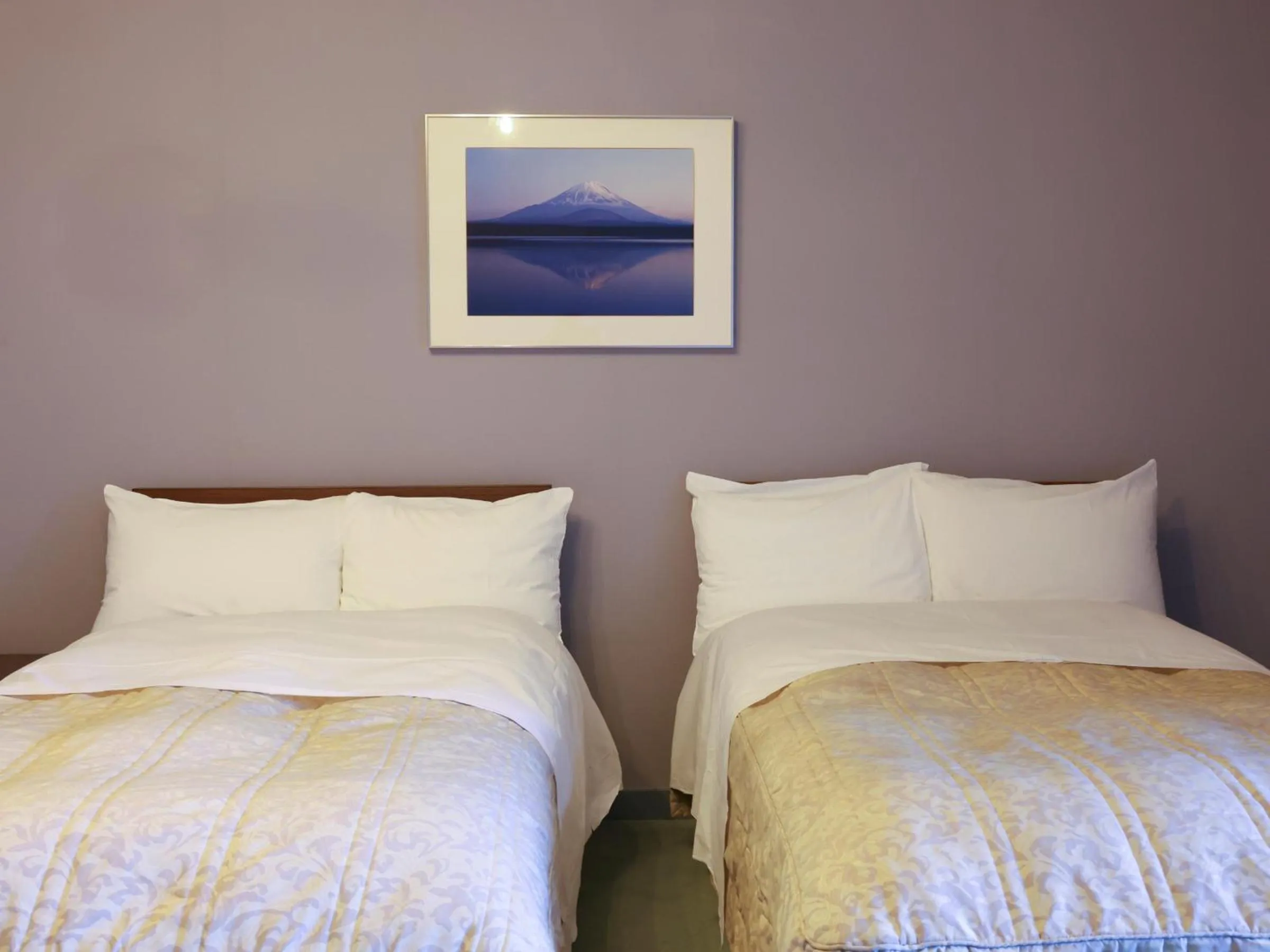 Photo of the whole room, Bed in Shoji Mount Hotel