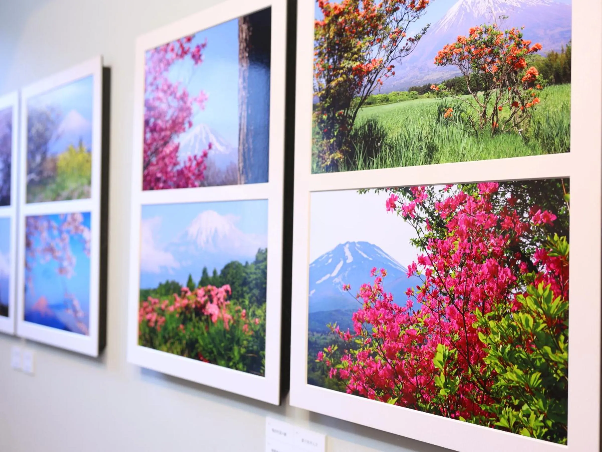 Area and facilities in Shoji Mount Hotel