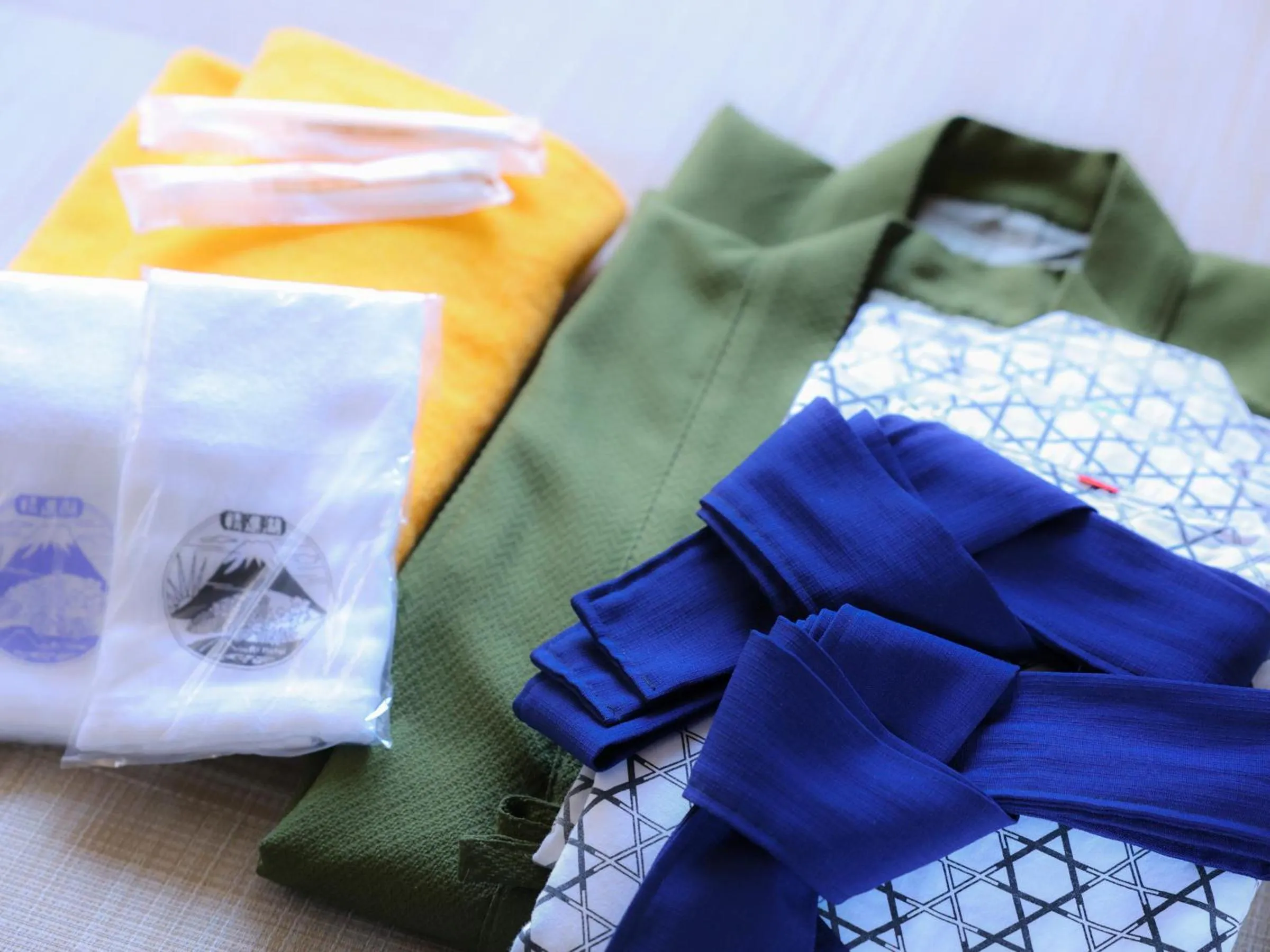 Photo of the whole room in Shoji Mount Hotel